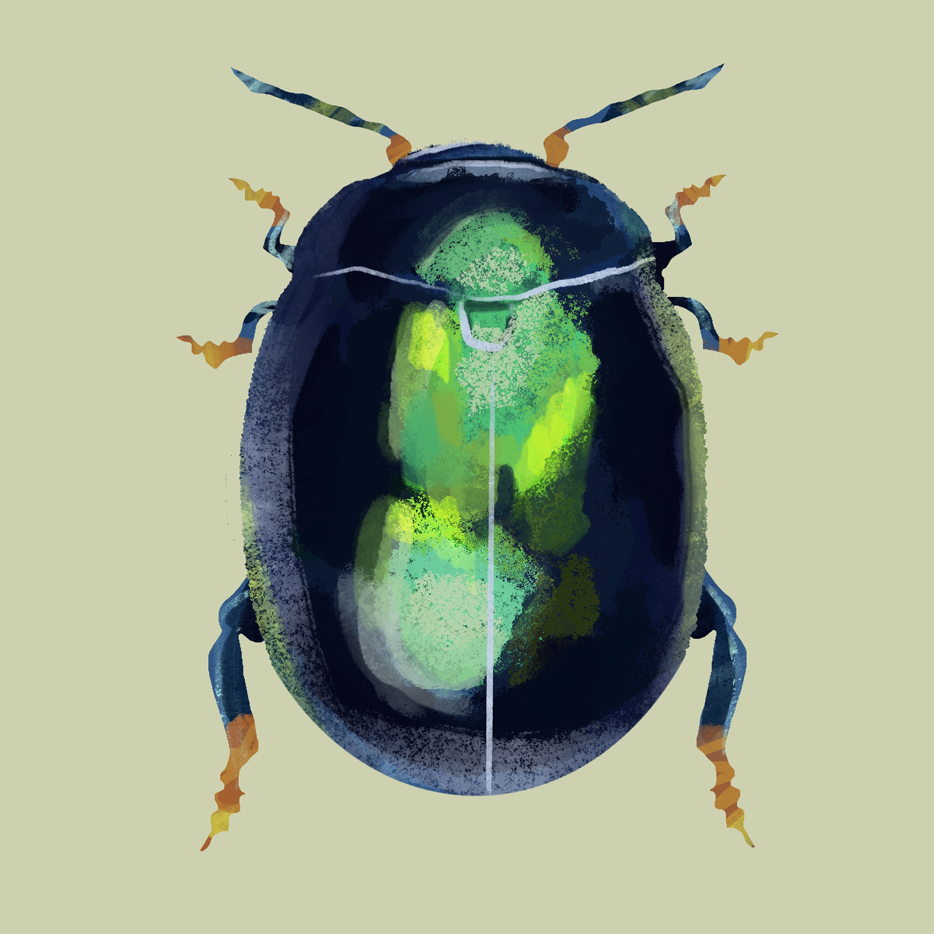 Bug 6 - Procreate