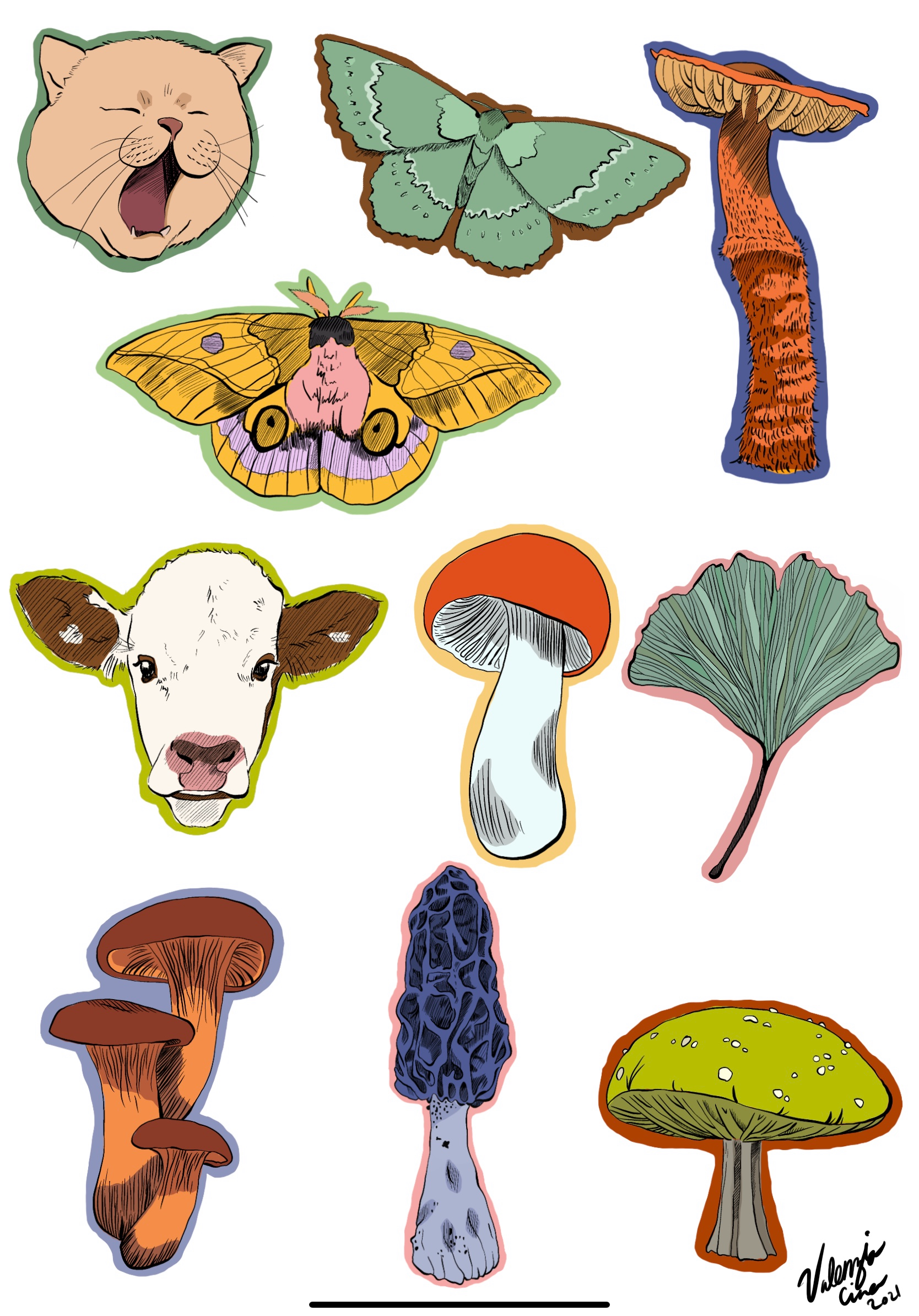 Sticker designs - Procreate