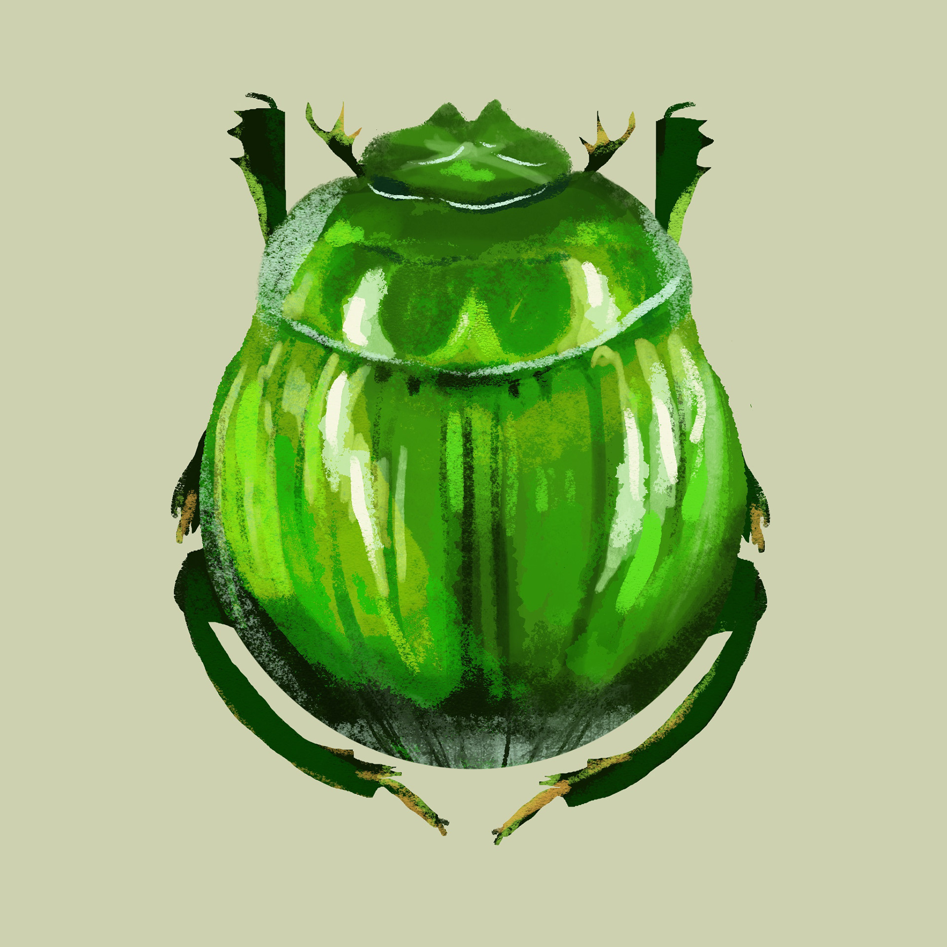 Bug 4 - Procreate