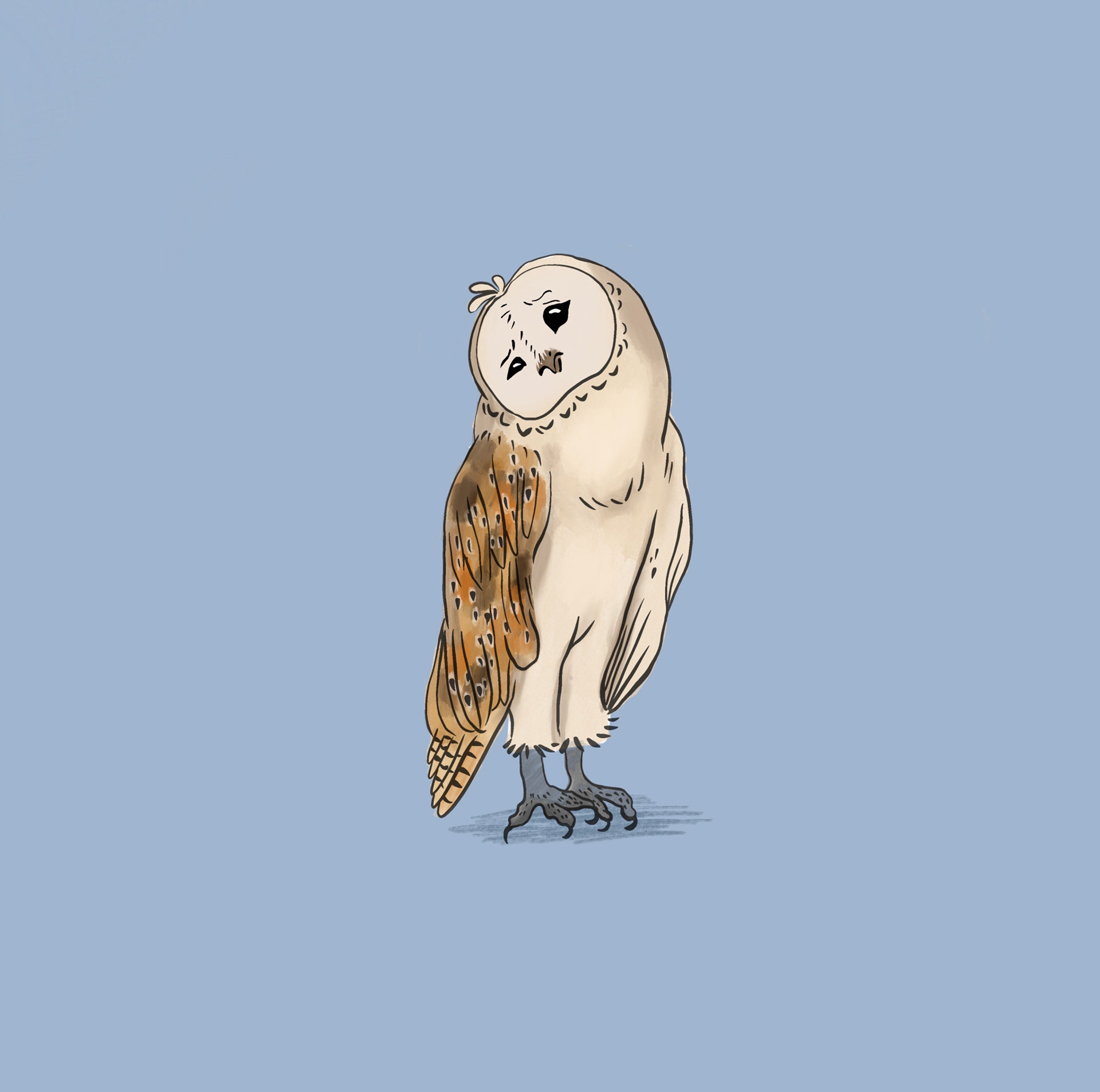 Camille as an owl - Procreate