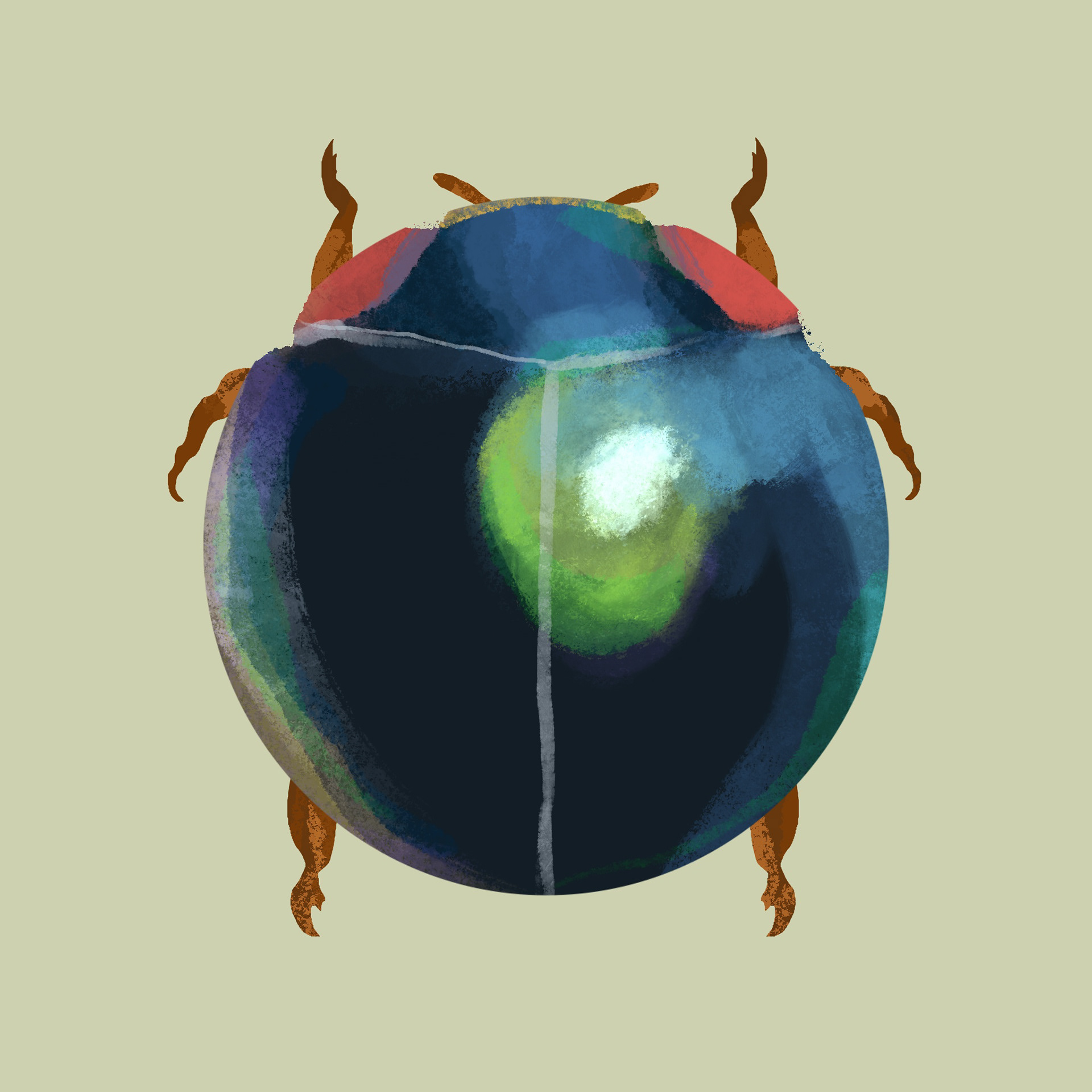 Bug 2 - Procreate