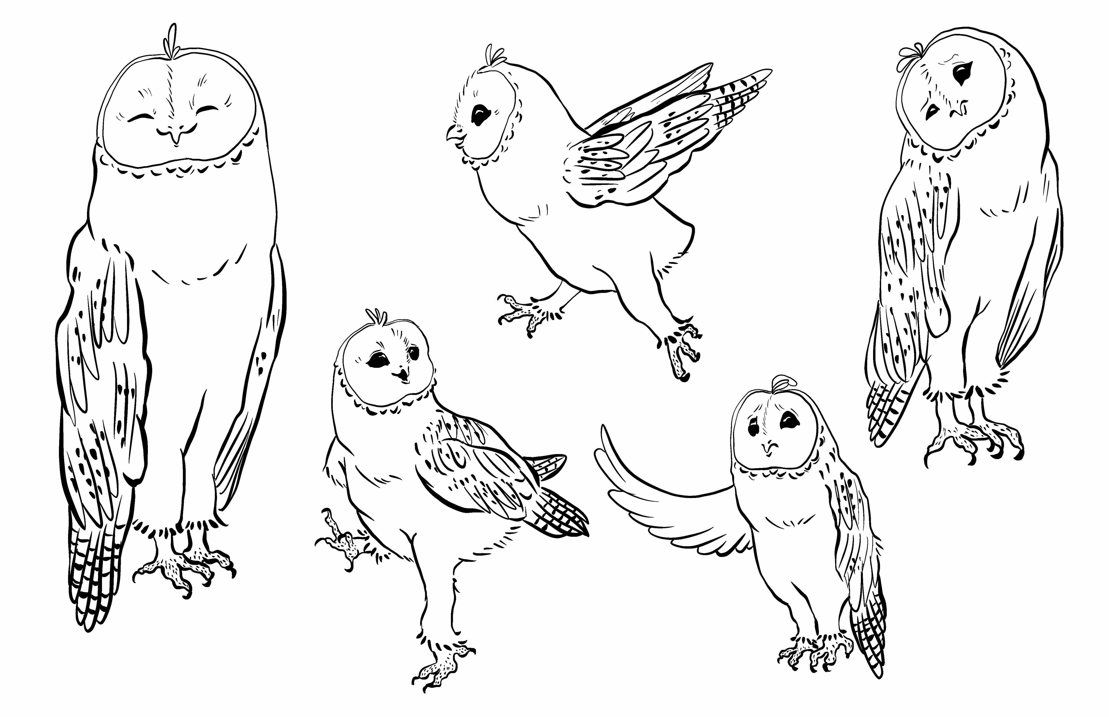 Camille as an owl line work - Procreate