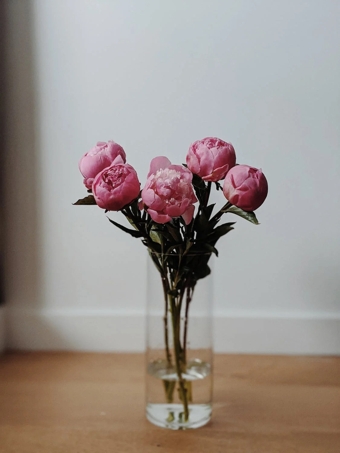 Peonies