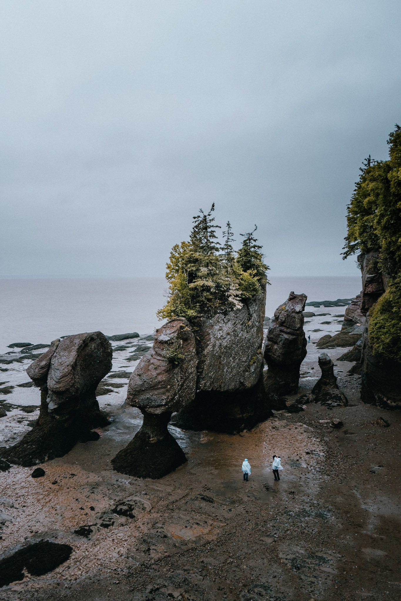 Baie de Fundy (NB)
