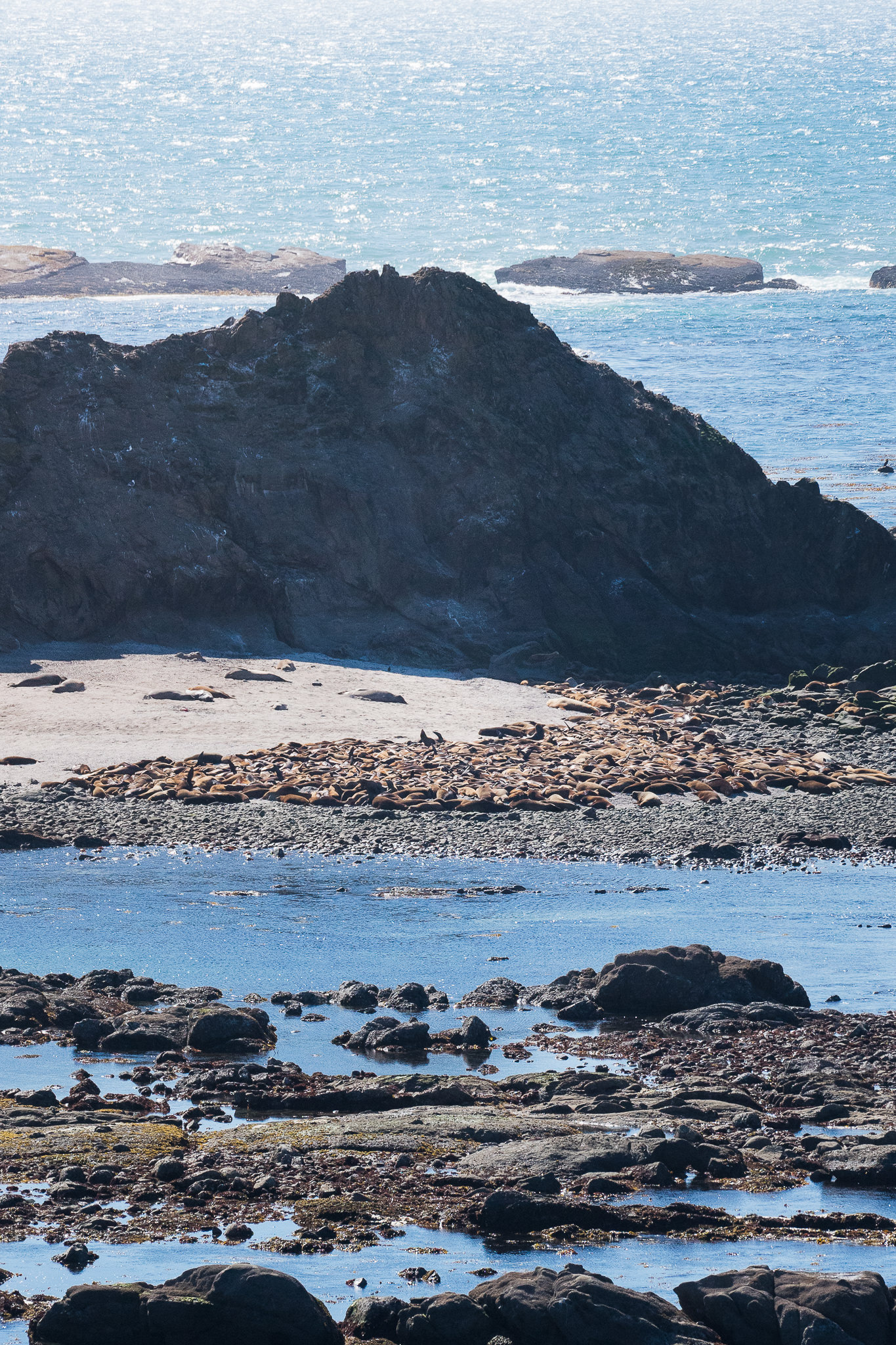 Oregon Coast (OR)