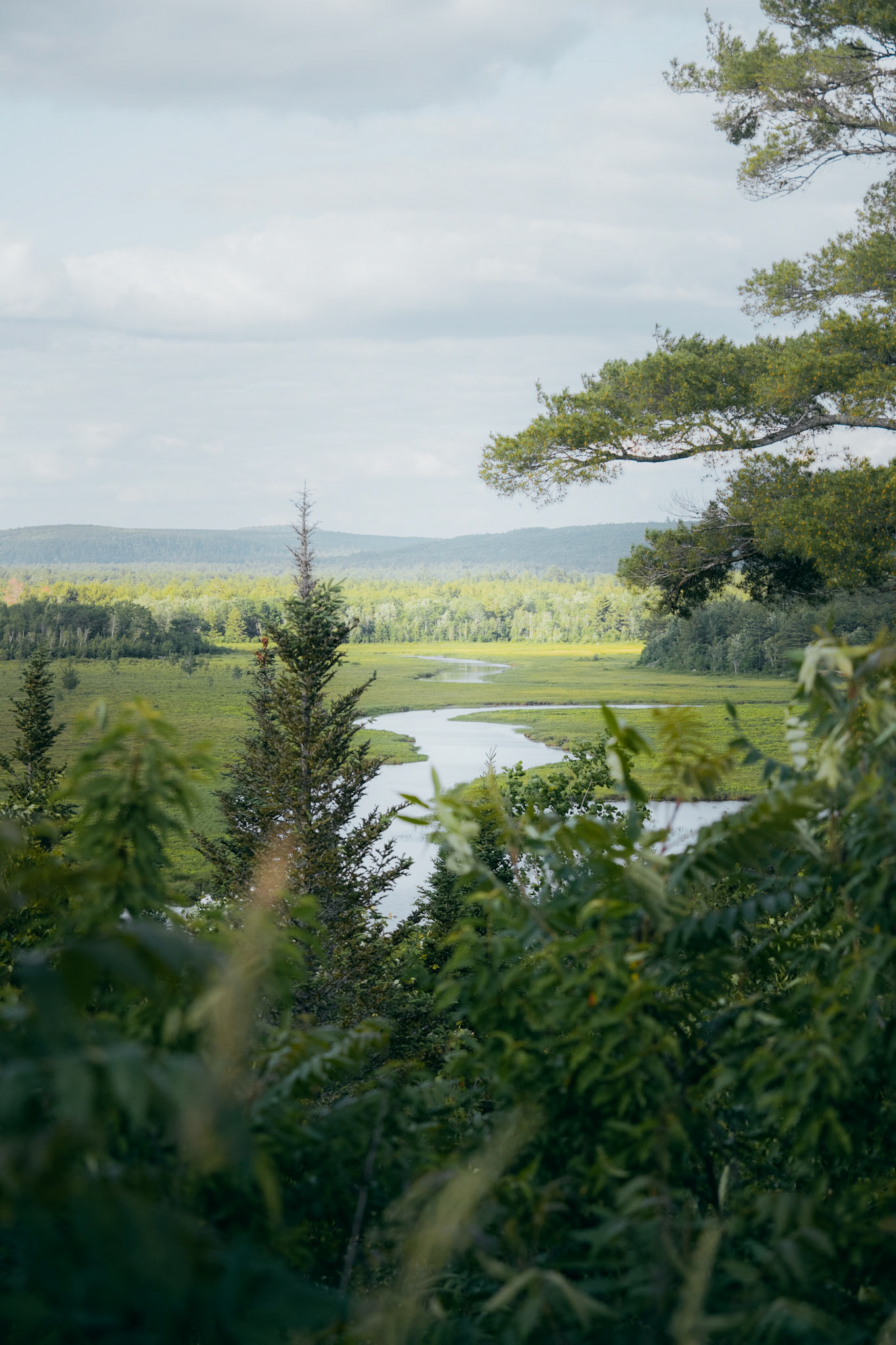 Maine
