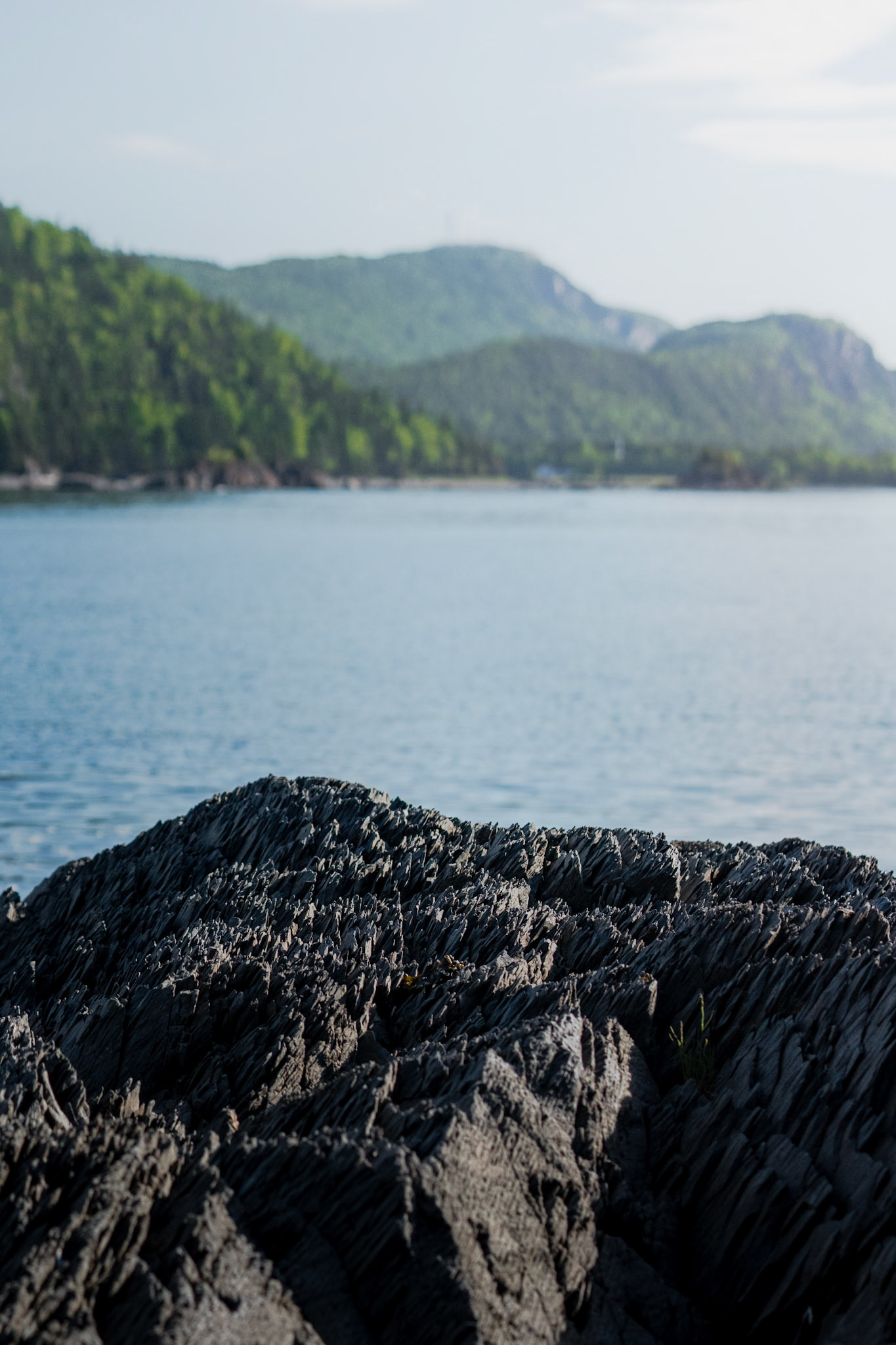 Parc National du Bic (QC)