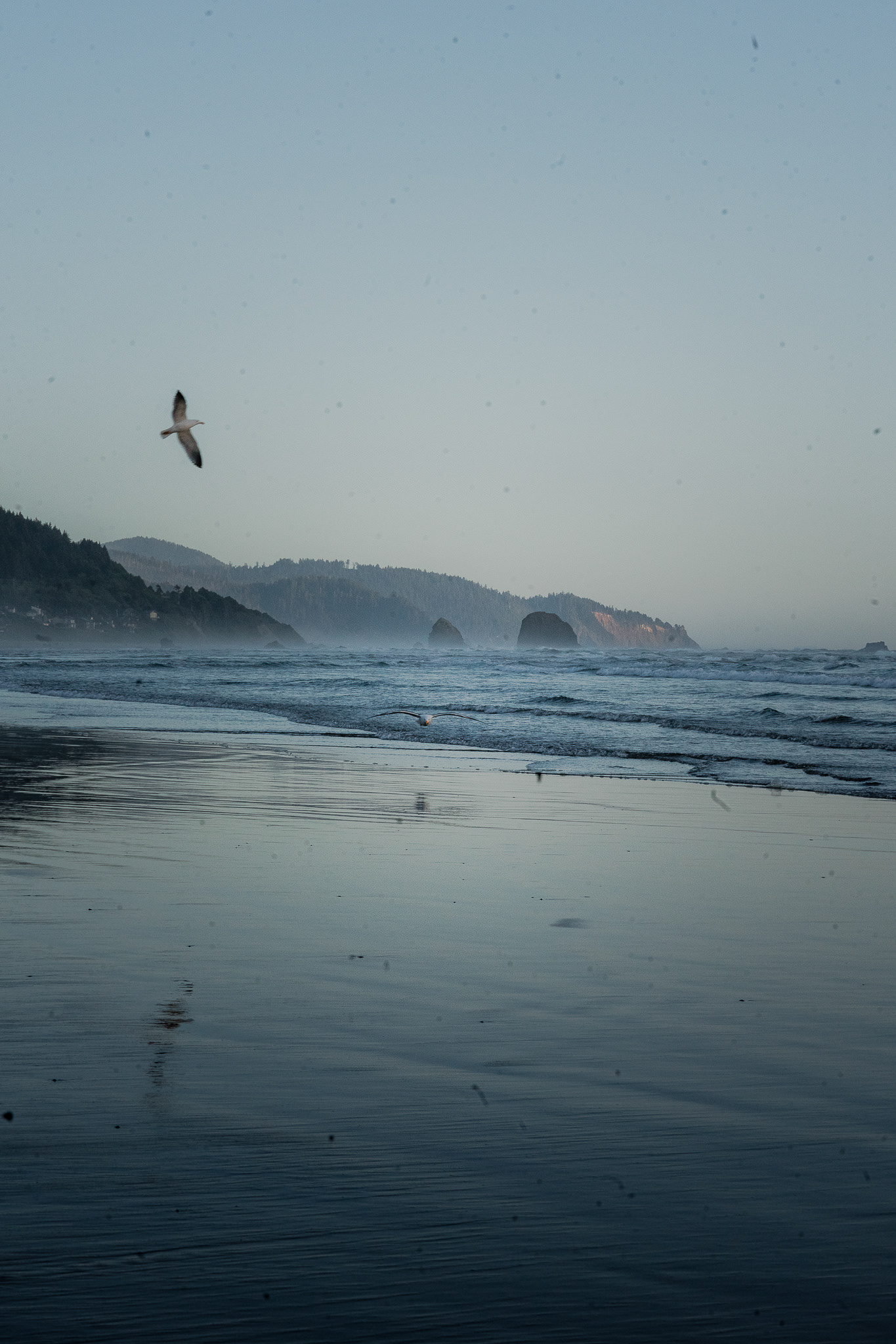 Oregon Coast (OR)