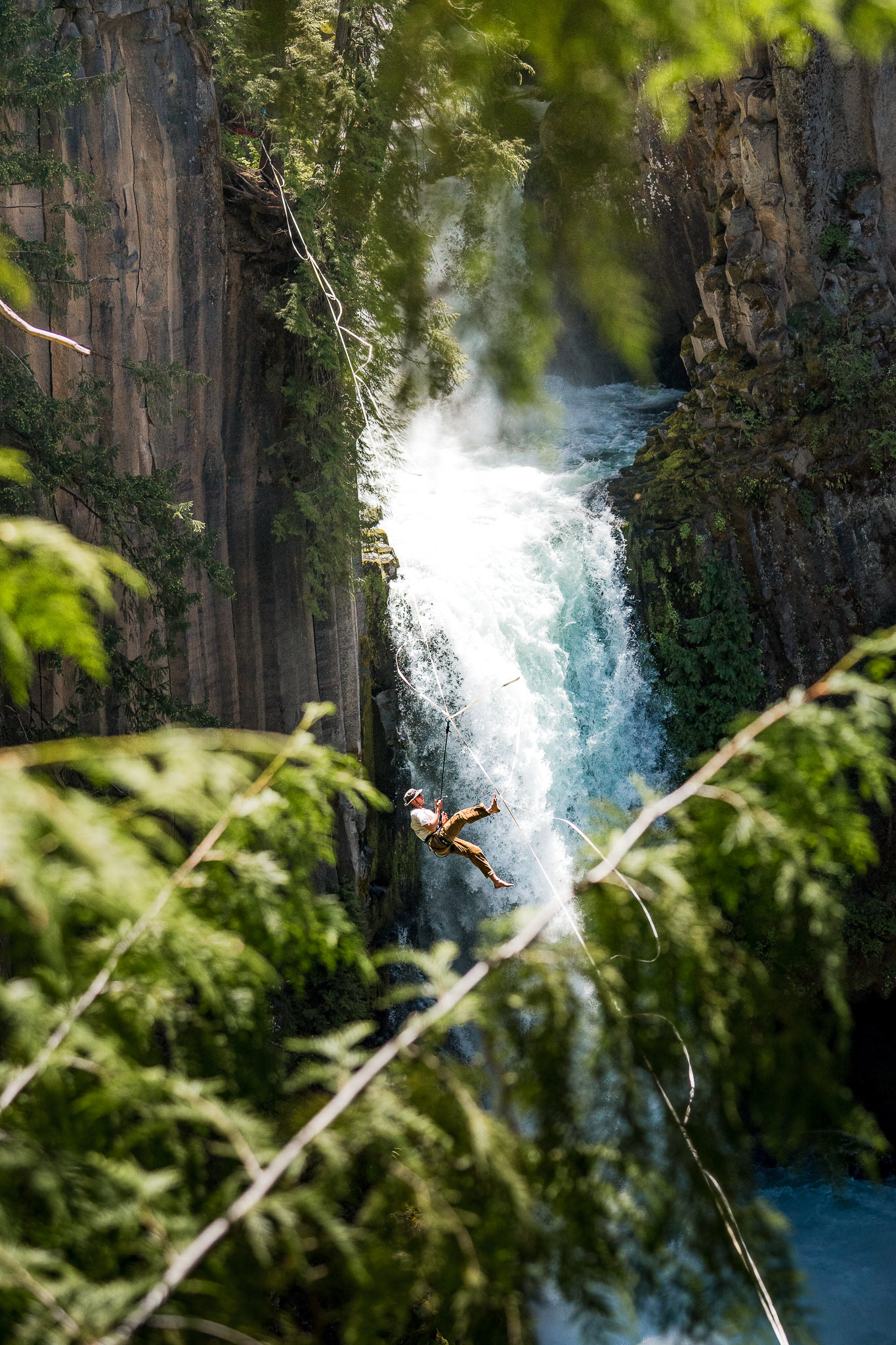 Umpqua National Forest (OR)