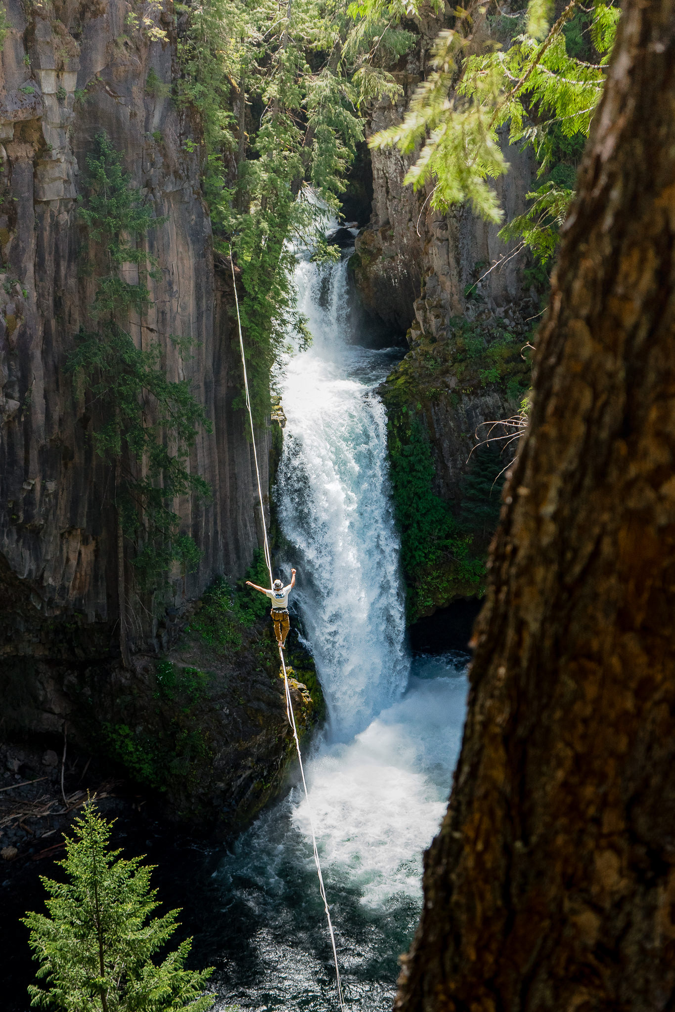 Umpqua National Forest (OR)