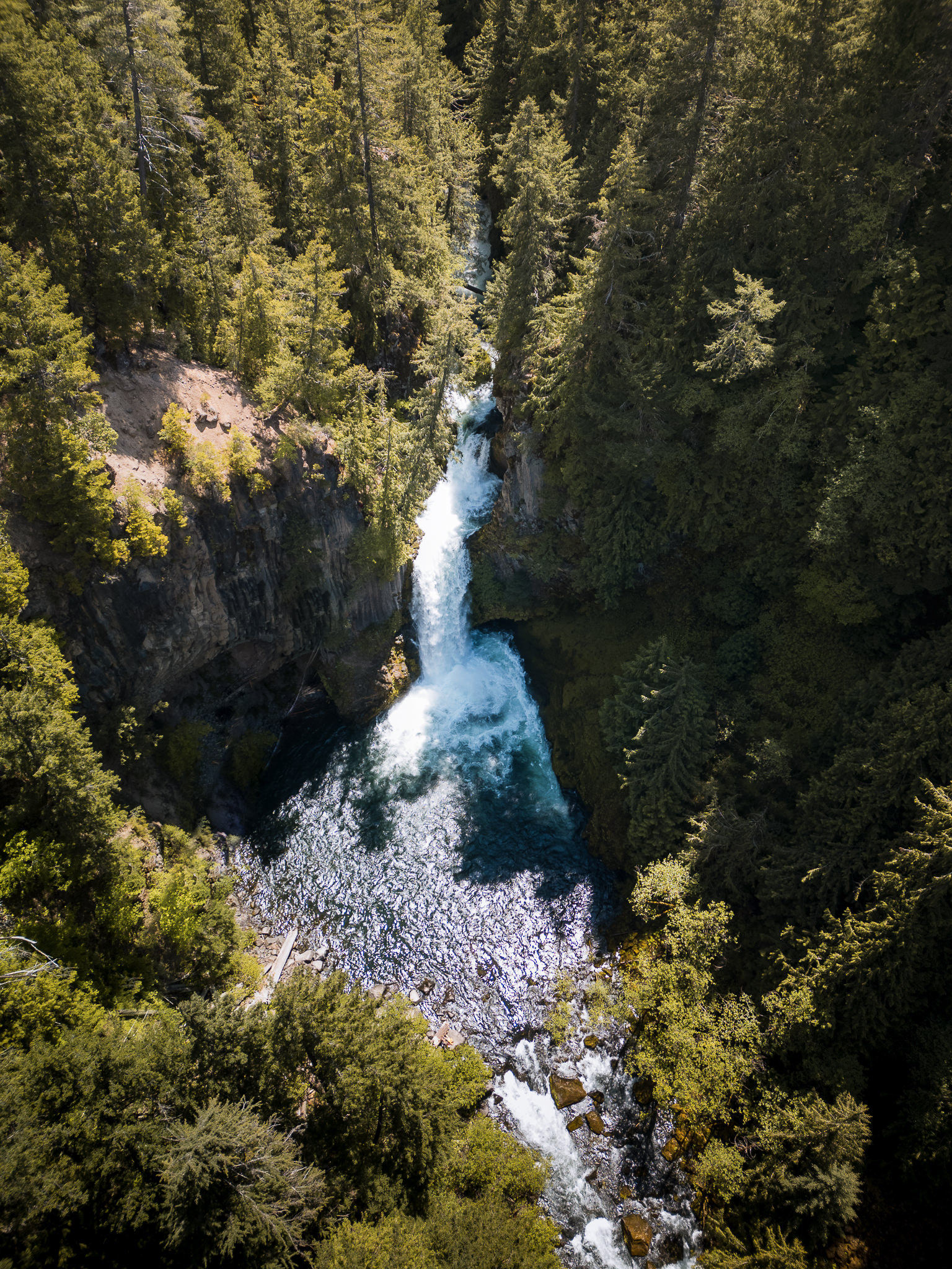 Umpqua National Forest (OR)