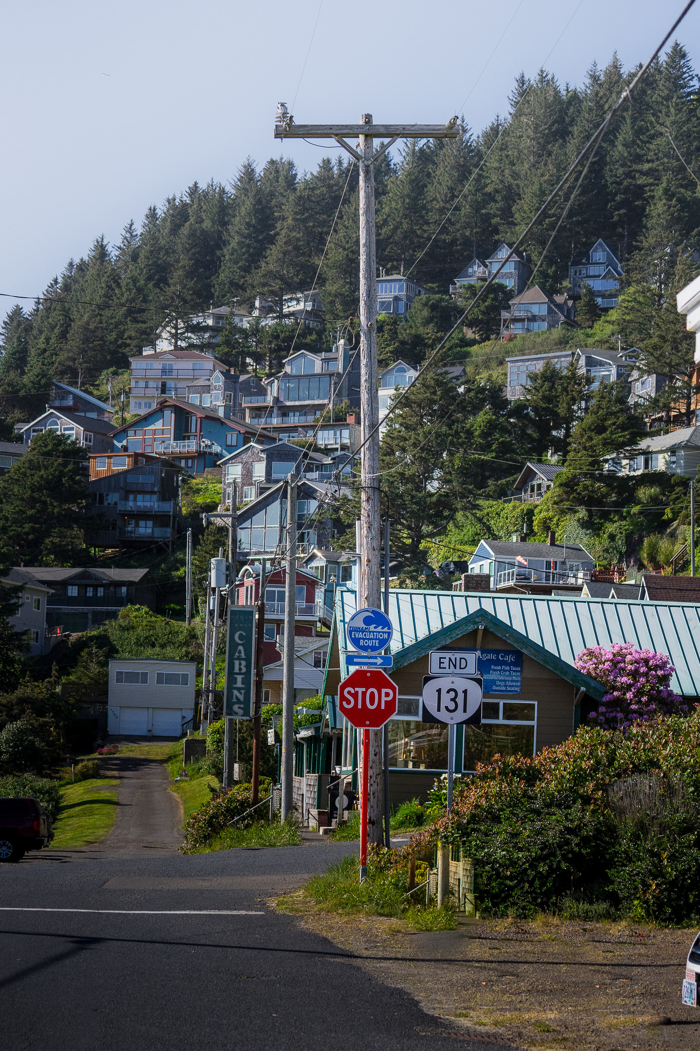 Oregon Coast (OR)