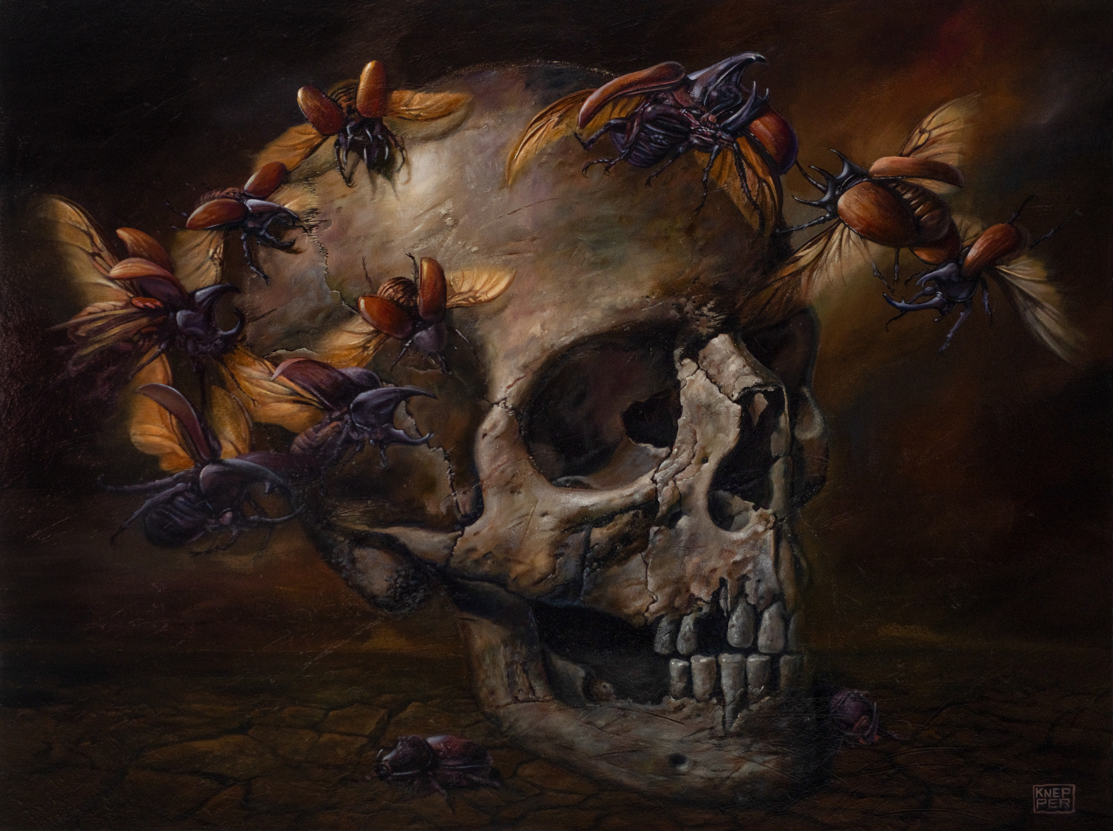 Eine detailreiche, hyperrealistische Ölmalerei, die einen menschlichen Totenkopf zeigt, der fast vollständig von einer Vielzahl fliegender und krabbelnderNashornkäfer bedeckt ist. Der verwitterte, gealterte Schädel ruht auf einem rissigen, ausgetrockneten Erdboden und ist im Dreiviertelprofil nach rechts gewendet. Mehrere Nashornkäfer, mit charakteristischen Hörnern und irisierenden, kupferfarbenen Deckflügeln, sind in verschiedenen Flugphasen dargestellt, wie sie den Schädel umkreisen oder darauf gelandet sind. Die Szenerie ist in warmen, dunklen Erdtönen gehalten, mit einem dramatischen, dramatischen Chiaroscuro-Licht, das die Texturen des Knochens, der Käferpanzer und des ausgedörrten Bodens hervorhebt. Das Gemälde strahlt eine Atmosphäre von Vergänglichkeit, Naturkreisläufen und Symbolik aus. Unten rechts ist die Künstlersignatur „KNEPPER“ zu sehen.