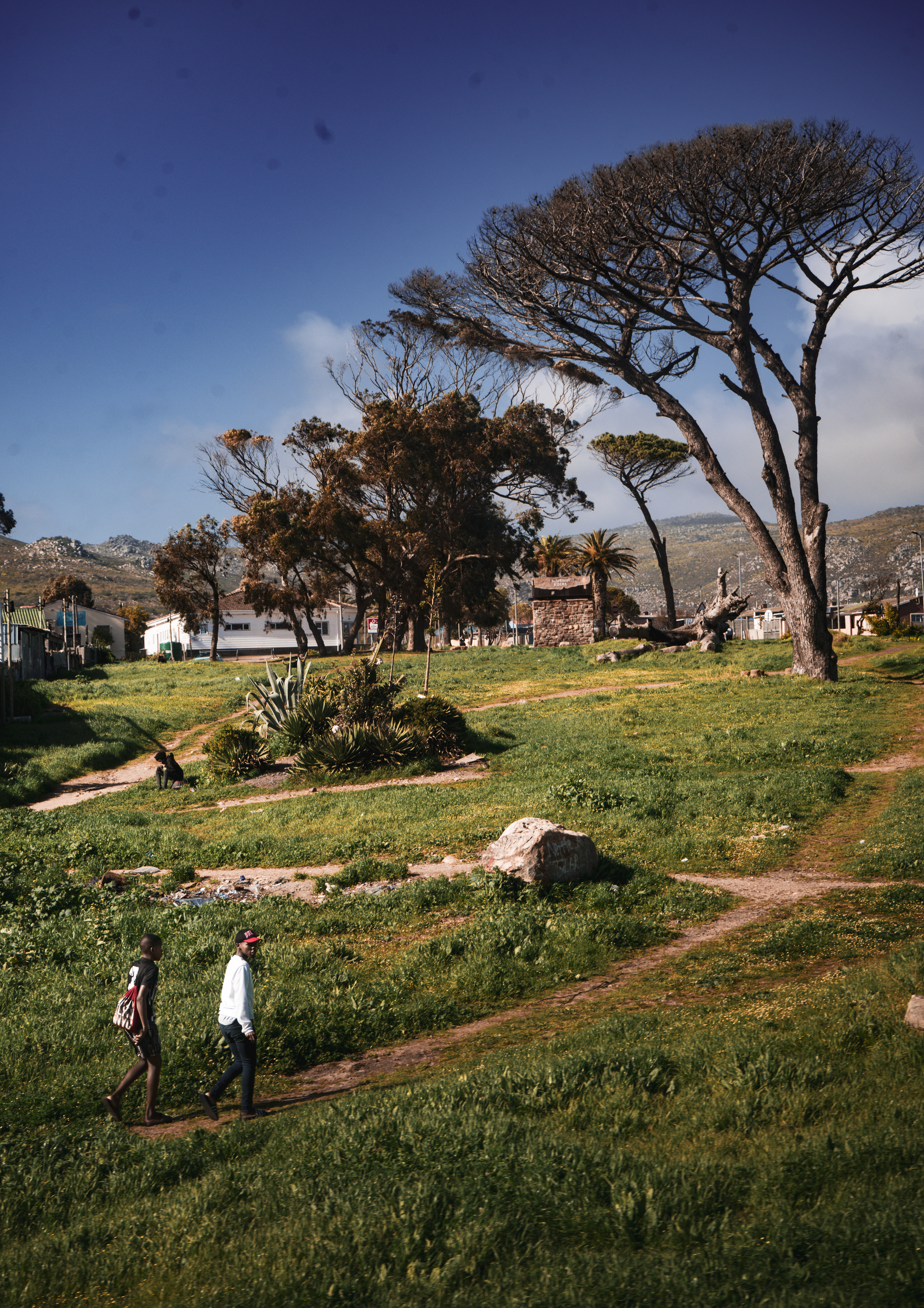 Two gentlemen on an evening stroll. Cape Point, South Africa.