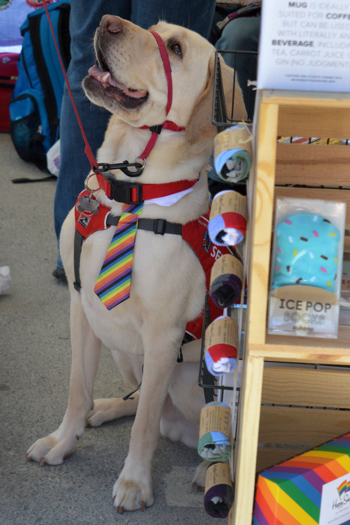 Rhode Island Pride 2019
