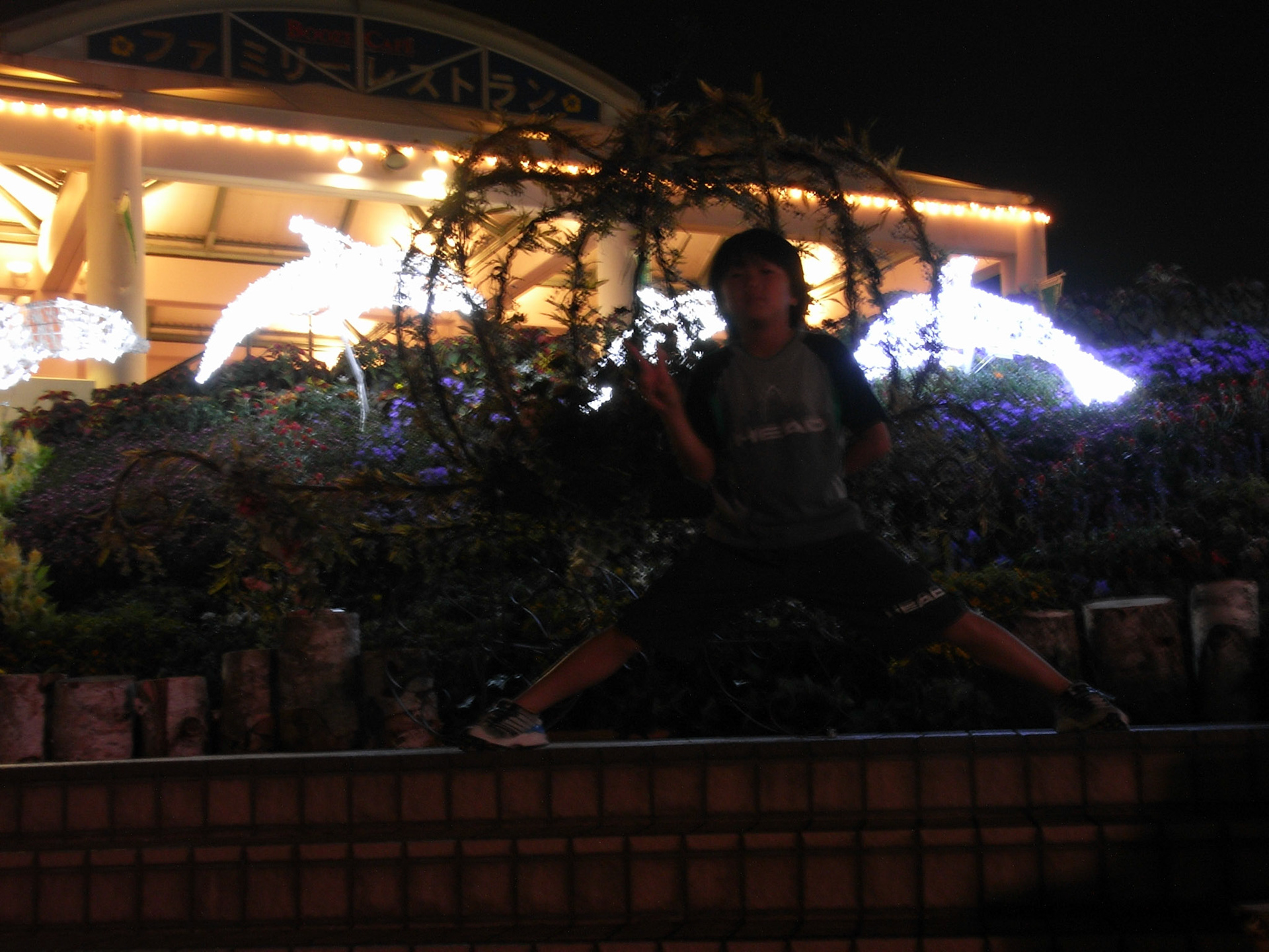 Exif_JPEG_PICTURE