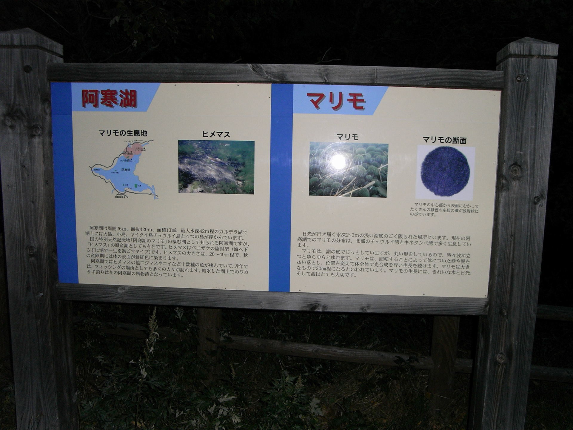 Exif_JPEG_PICTURE