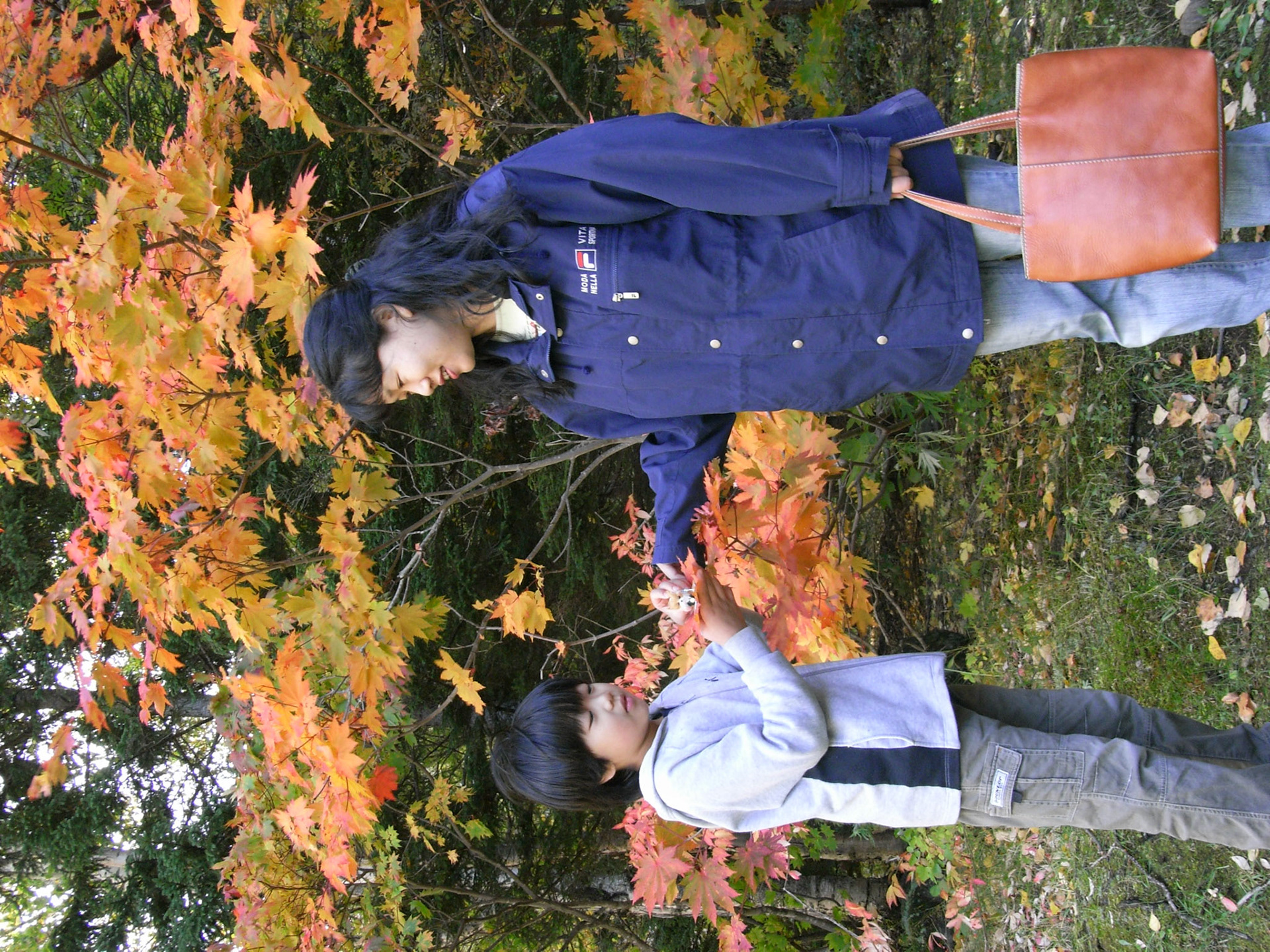 Exif_JPEG_PICTURE