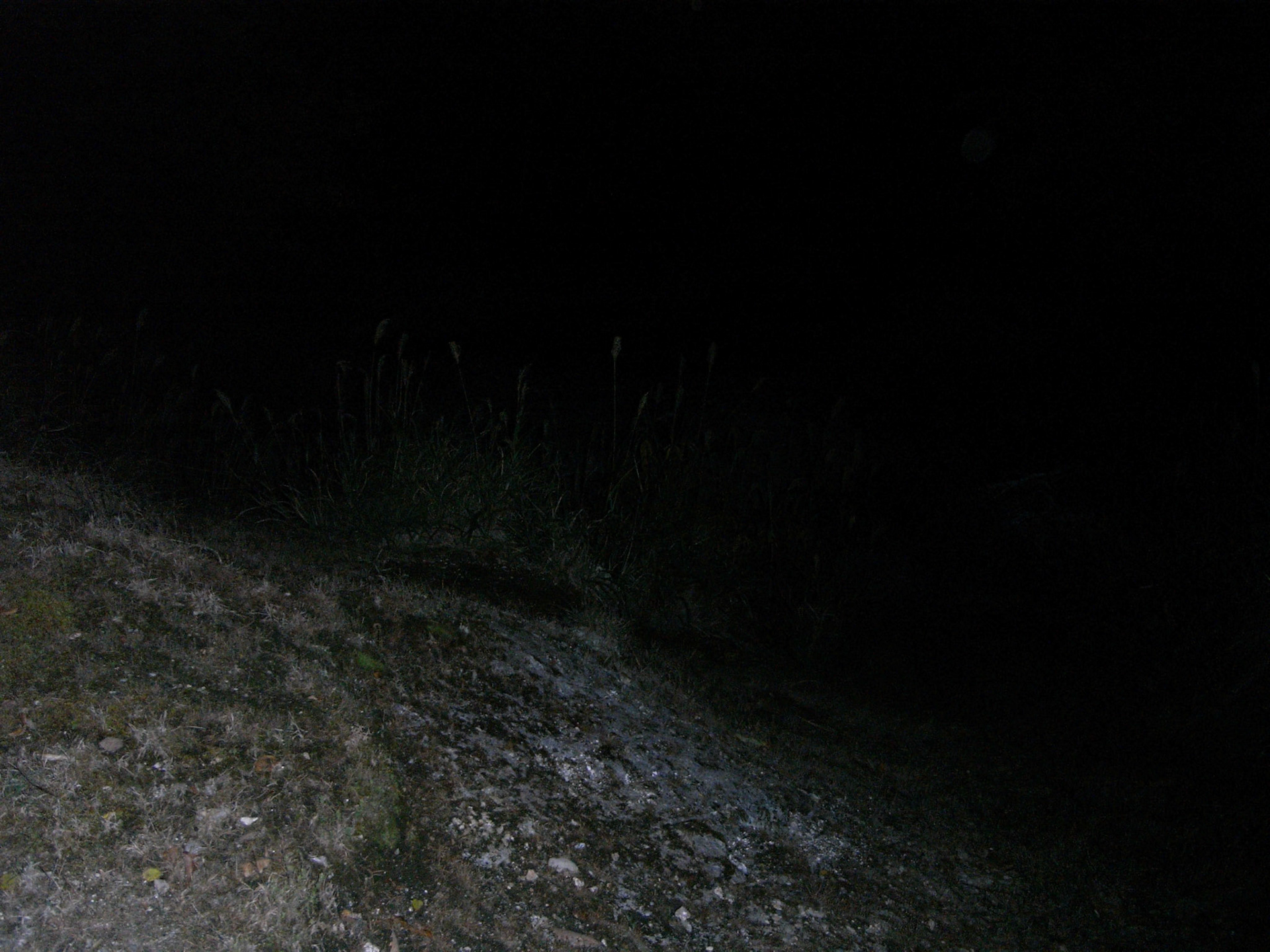 Exif_JPEG_PICTURE
