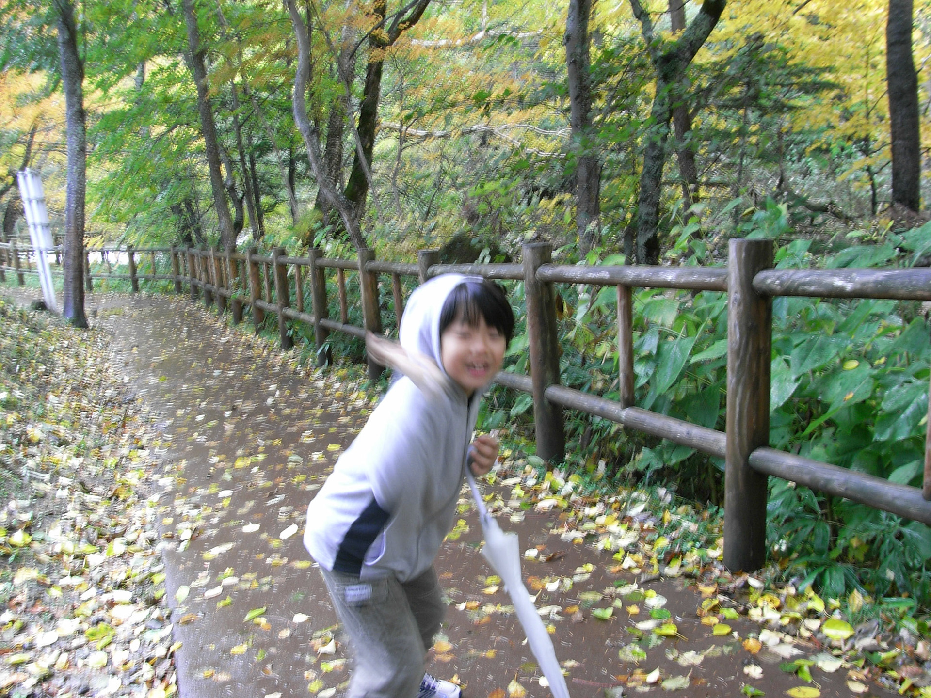 Exif_JPEG_PICTURE
