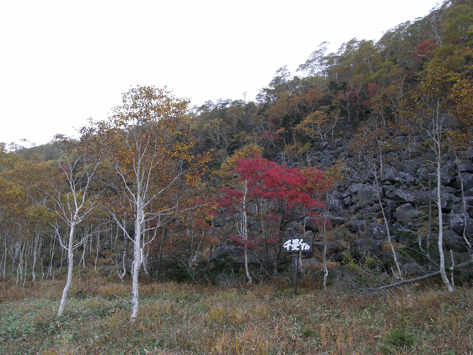 Exif_JPEG_PICTURE