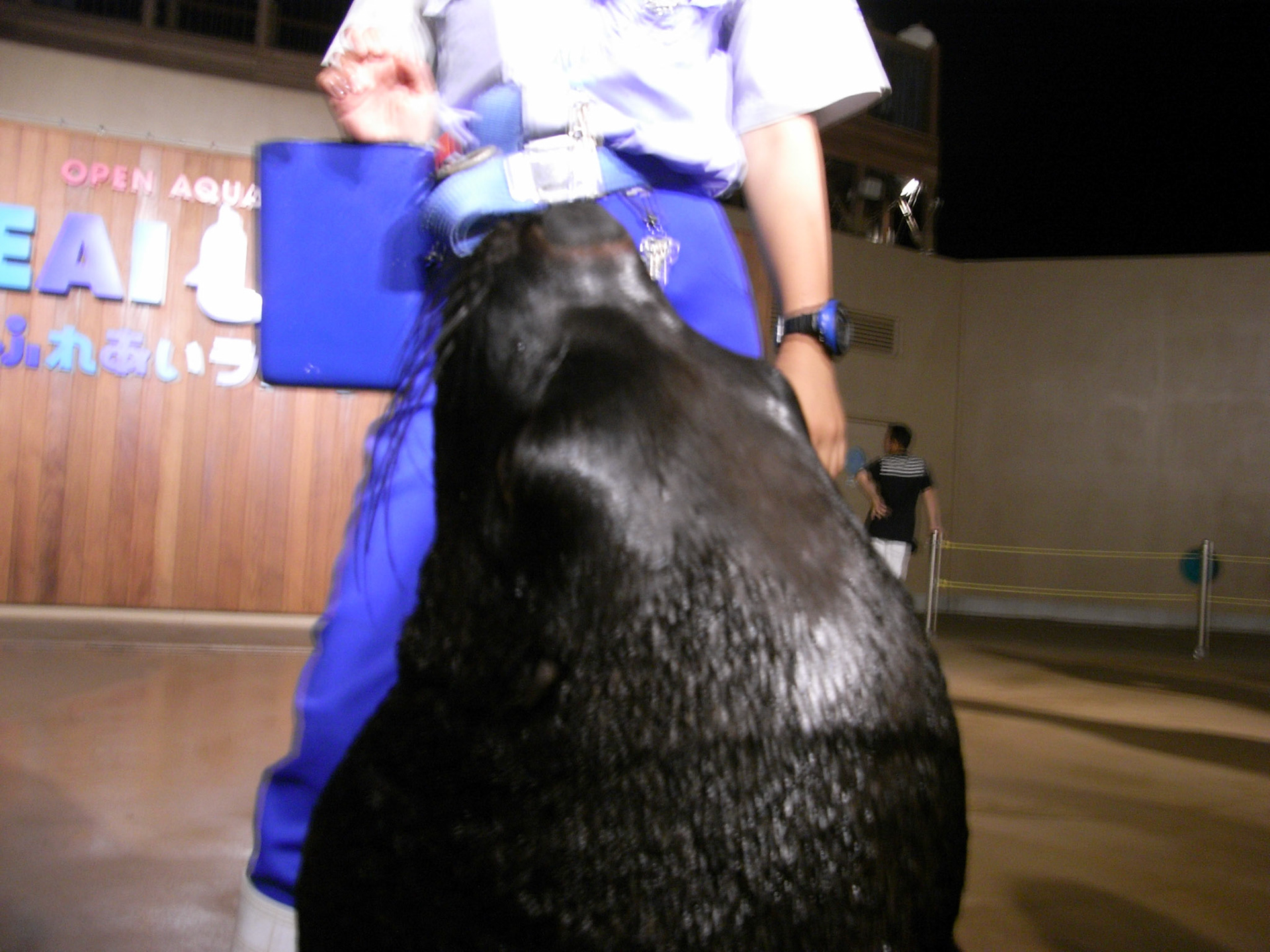 Exif_JPEG_PICTURE