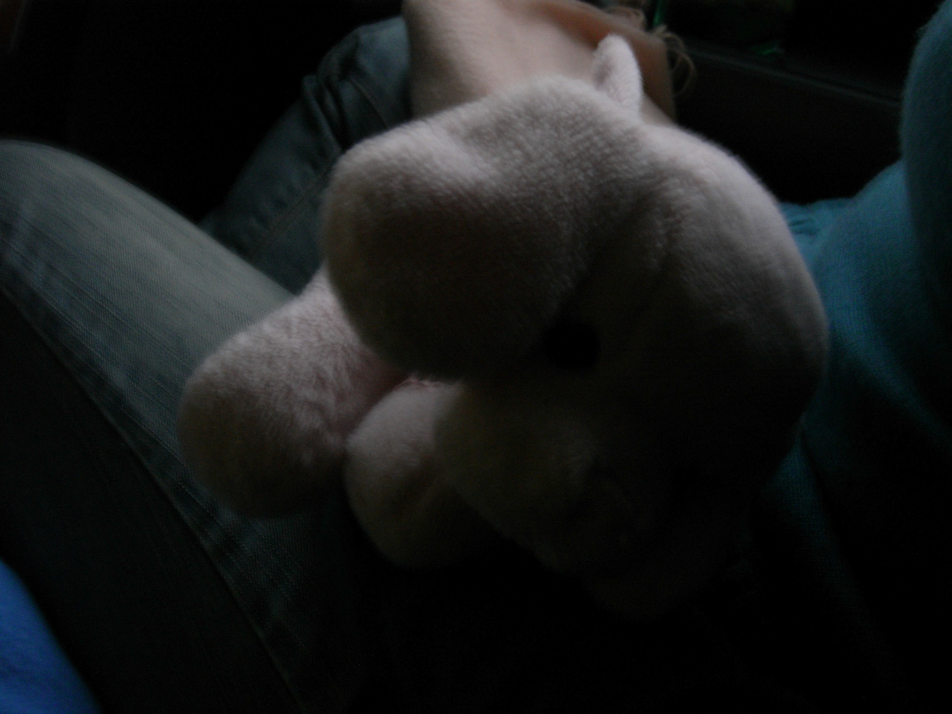 Exif_JPEG_PICTURE