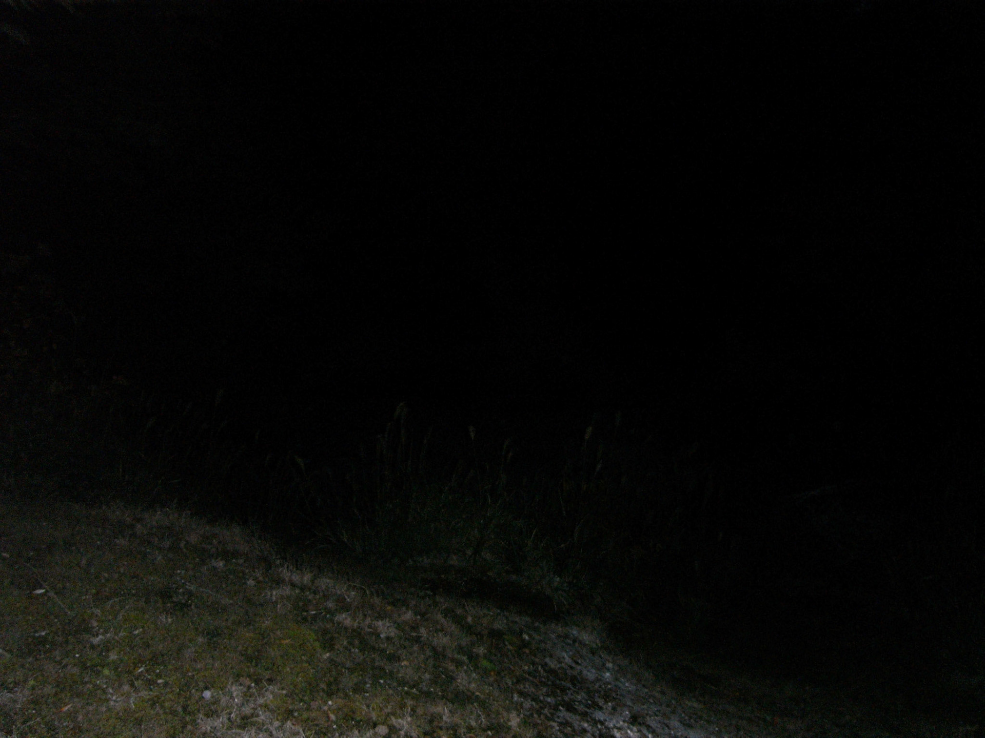 Exif_JPEG_PICTURE