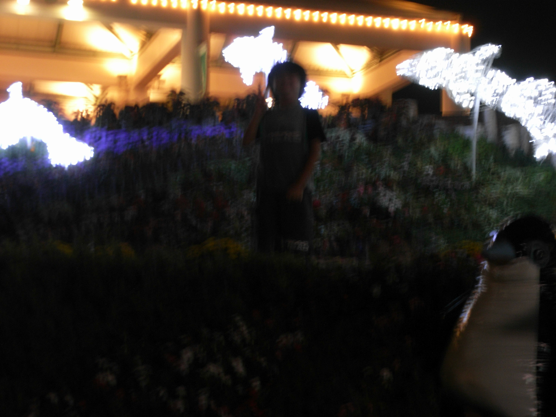 Exif_JPEG_PICTURE