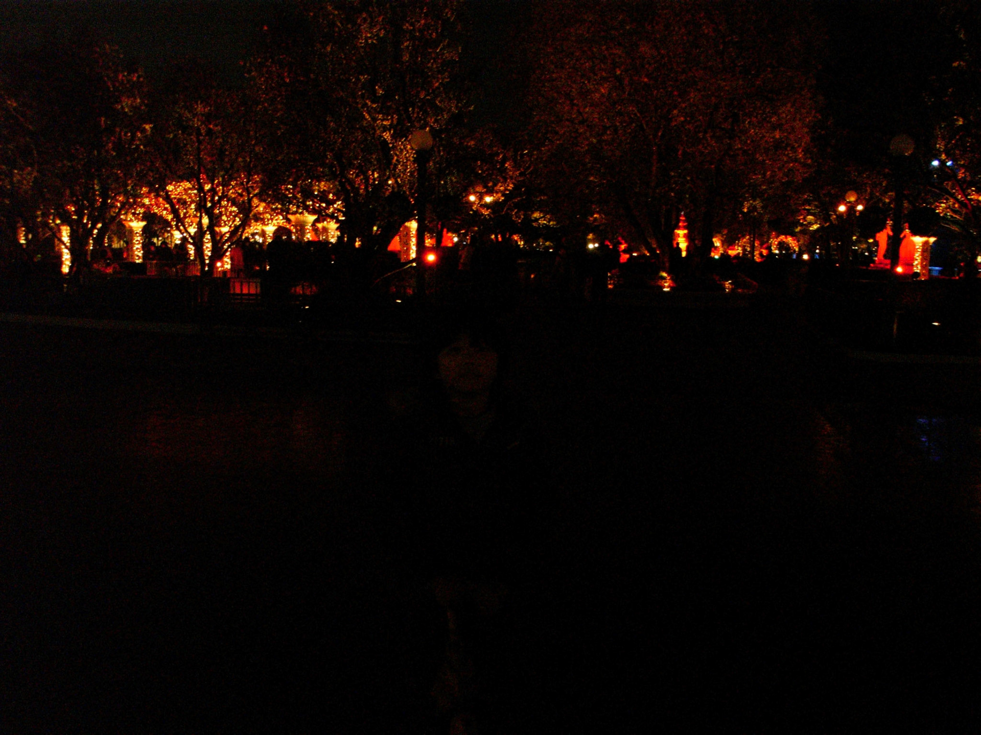 Exif_JPEG_PICTURE