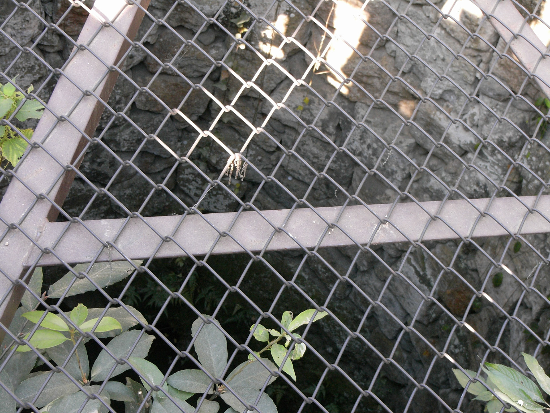 Exif_JPEG_PICTURE