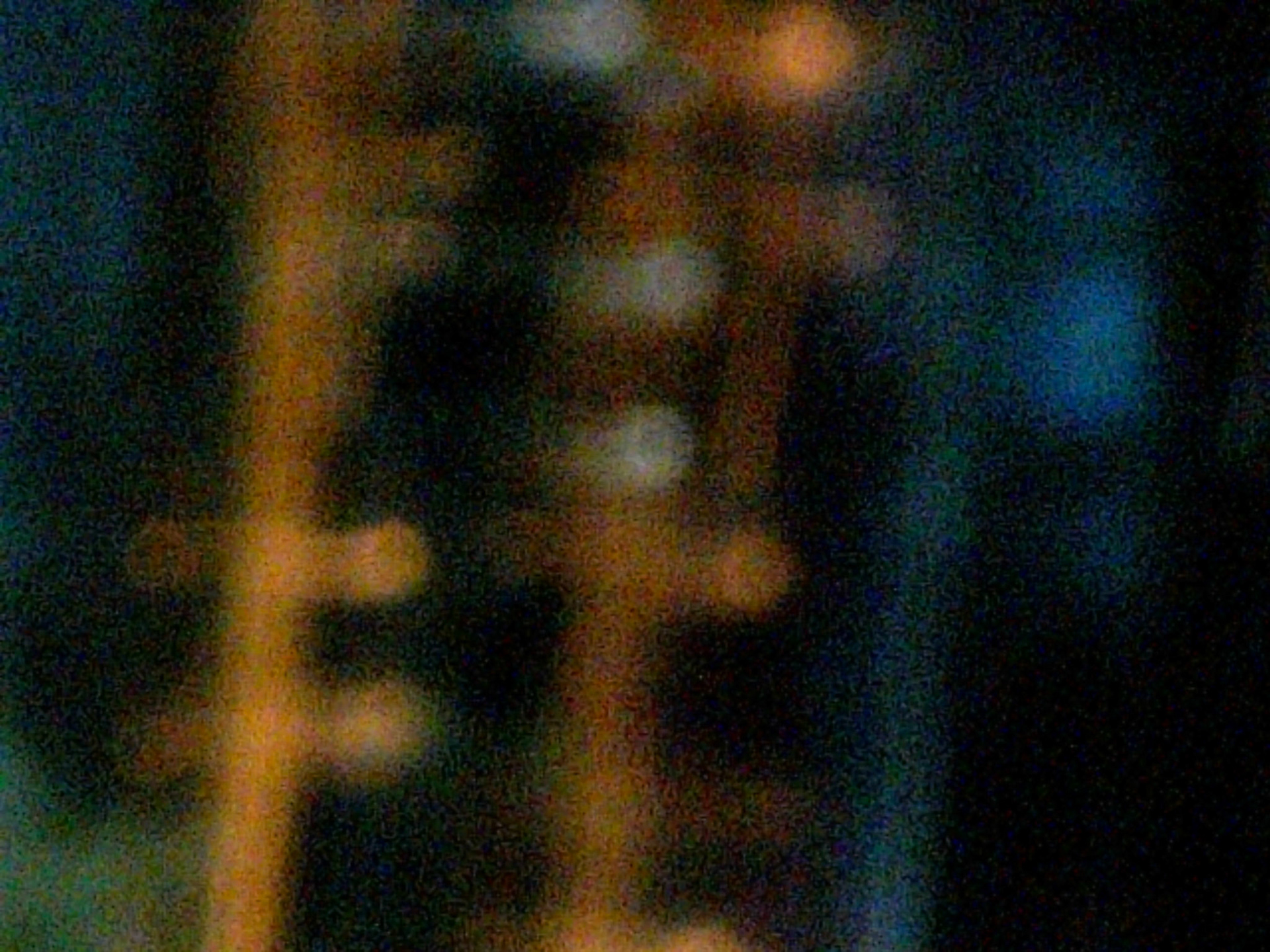 Exif_JPEG_PICTURE
