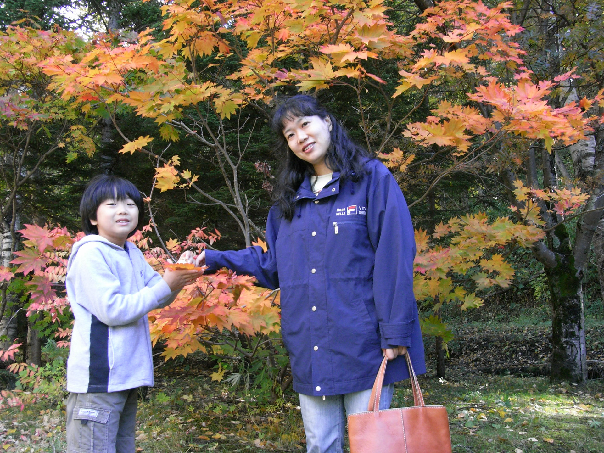 Exif_JPEG_PICTURE