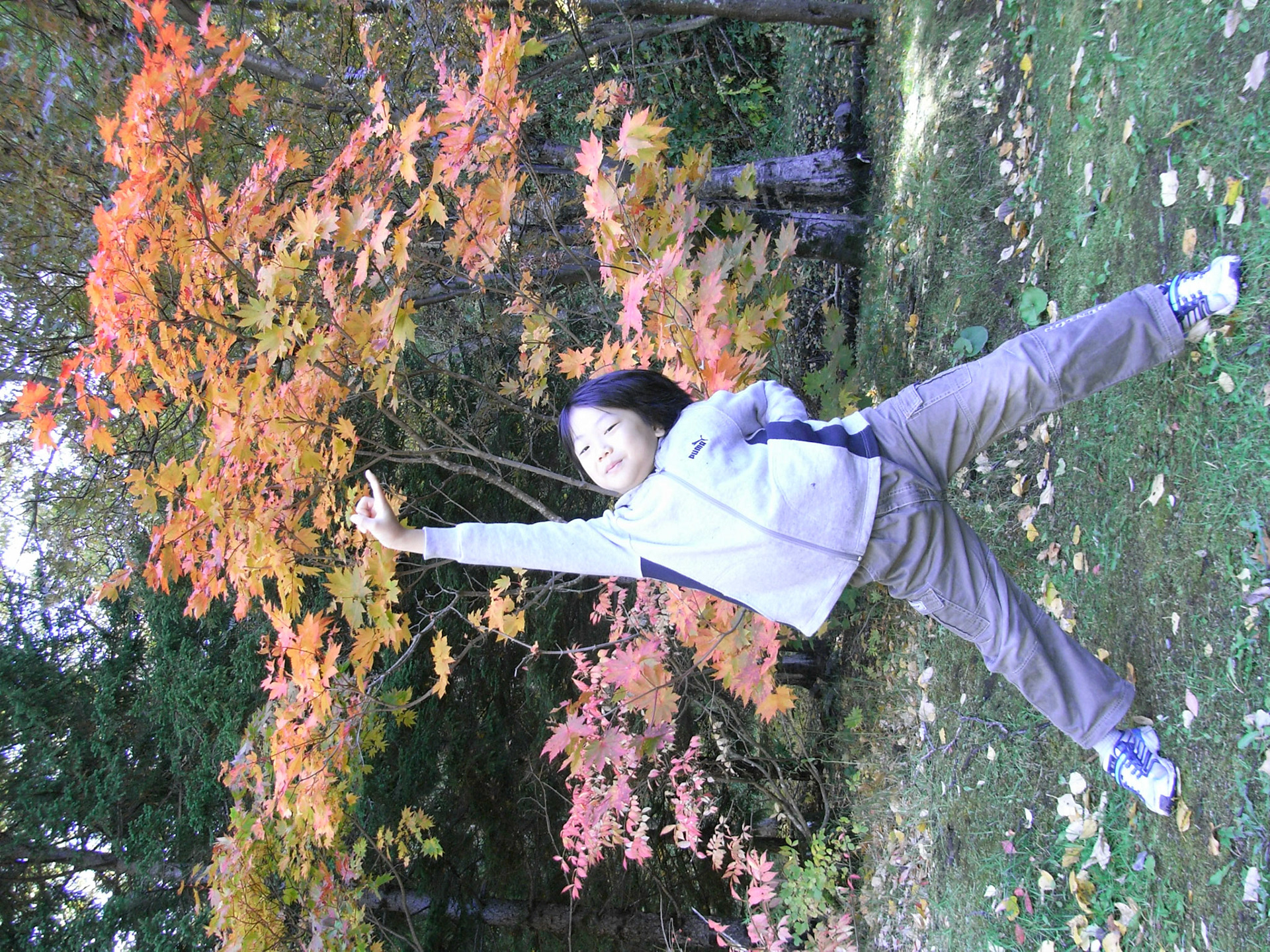Exif_JPEG_PICTURE