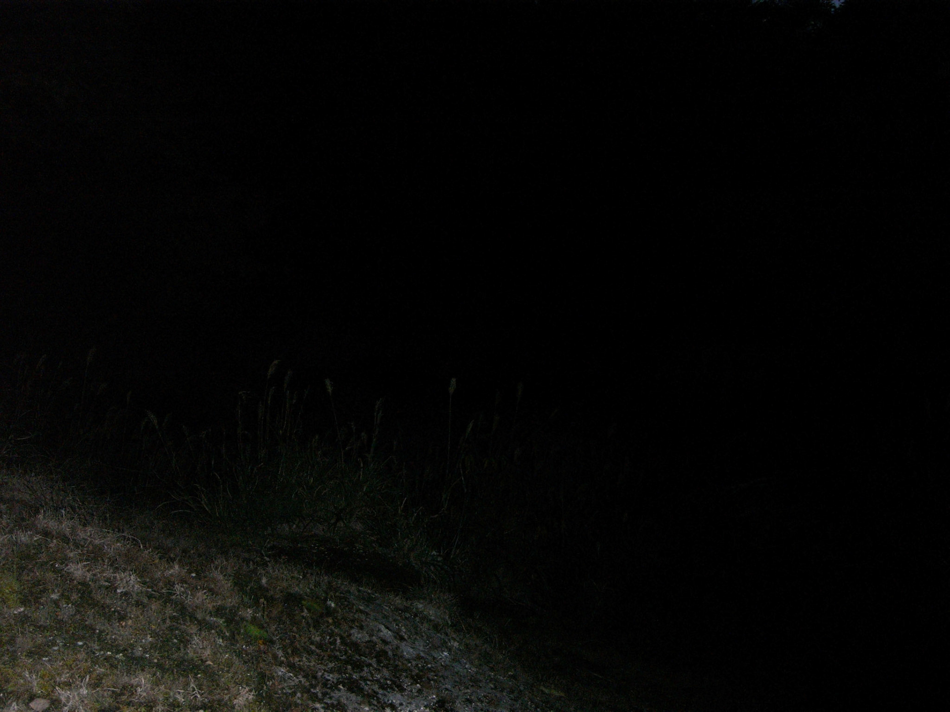 Exif_JPEG_PICTURE