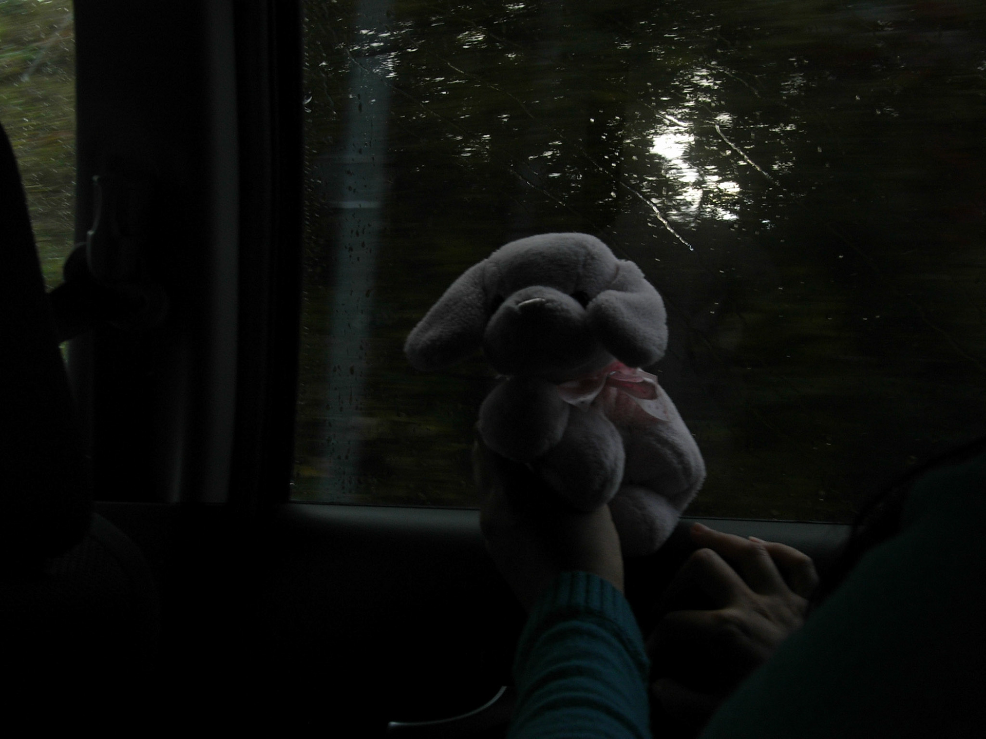 Exif_JPEG_PICTURE