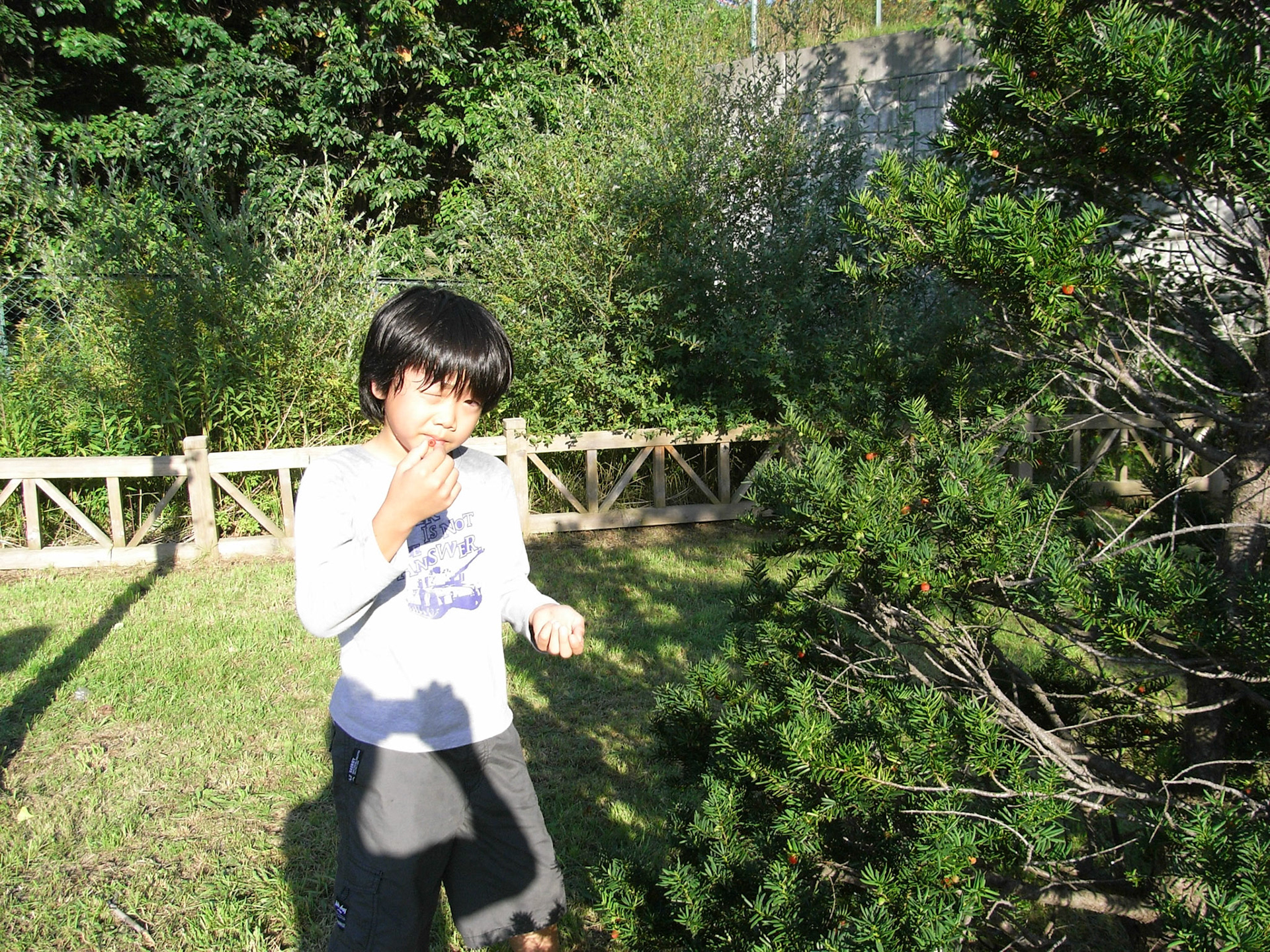 Exif_JPEG_PICTURE