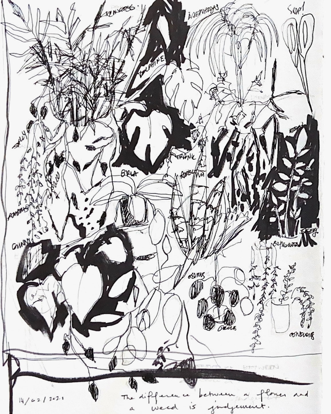 Plant Sketch (2021)