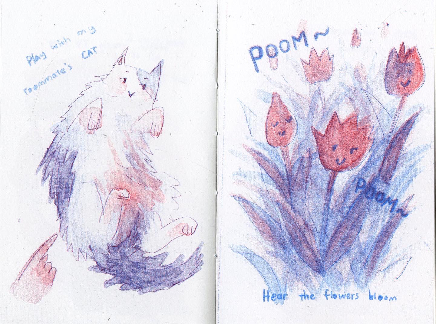Play with my roommate's cat. Hear the flowers bloom.