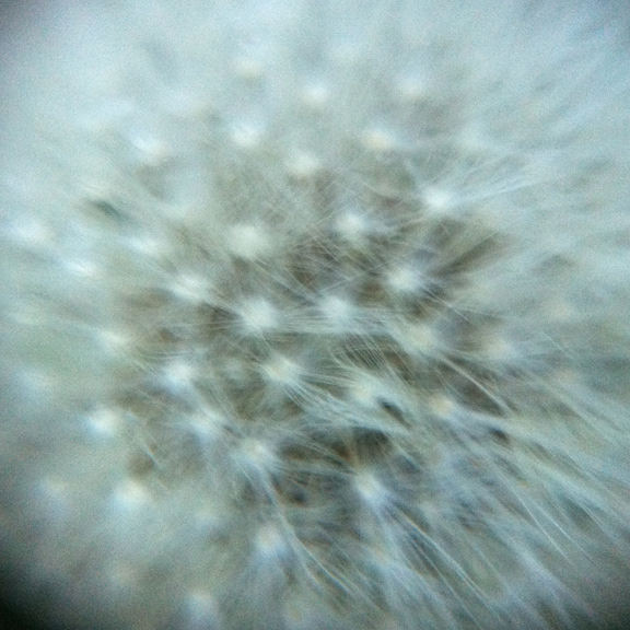 Macro