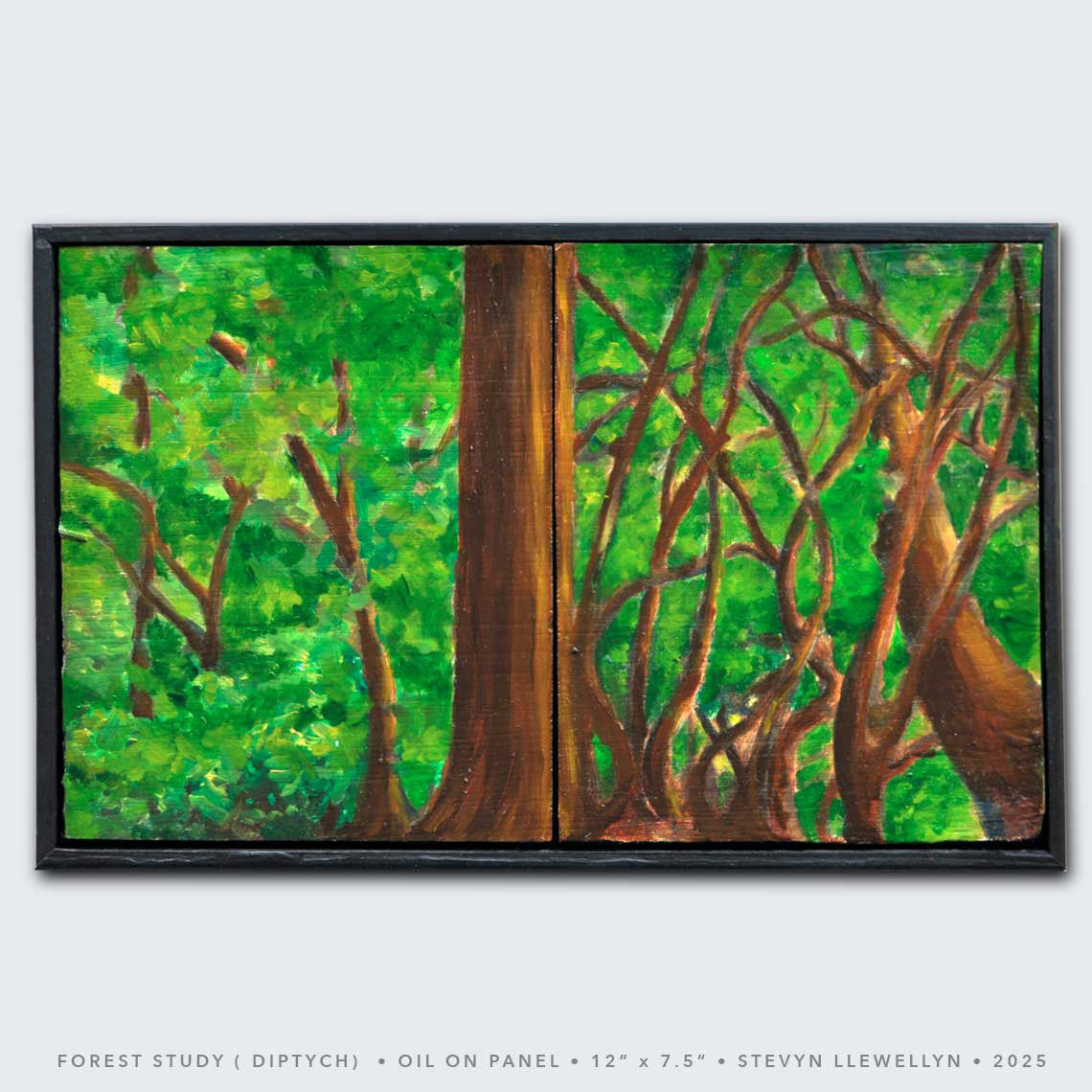 Forest Study • Oil on pane