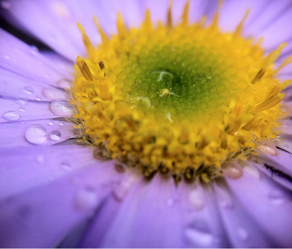 Macro