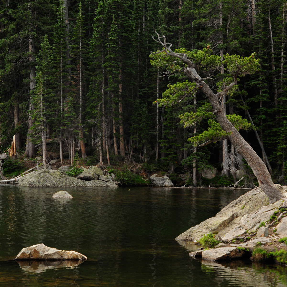 Rocky Mountain National Park