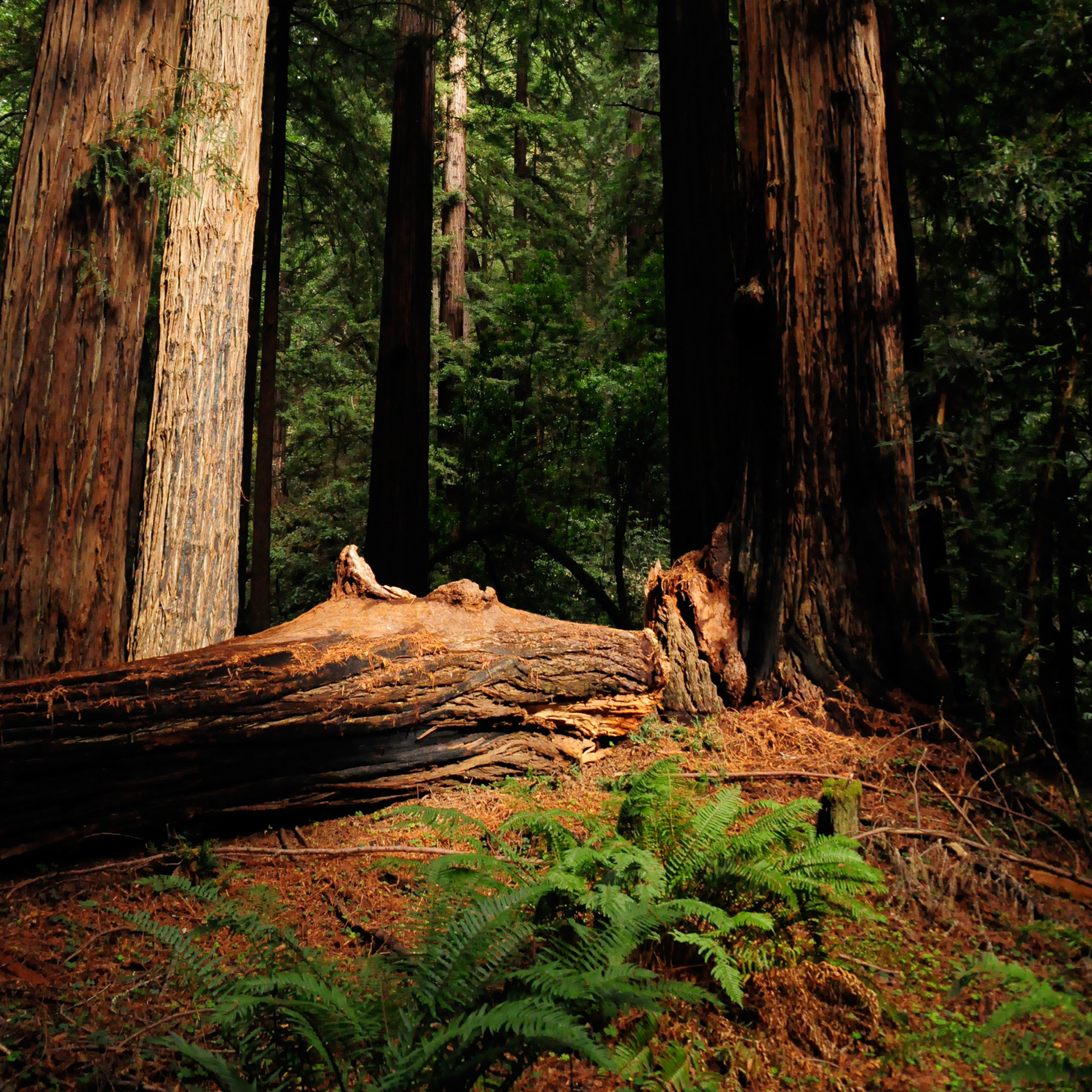 John Muir State Park