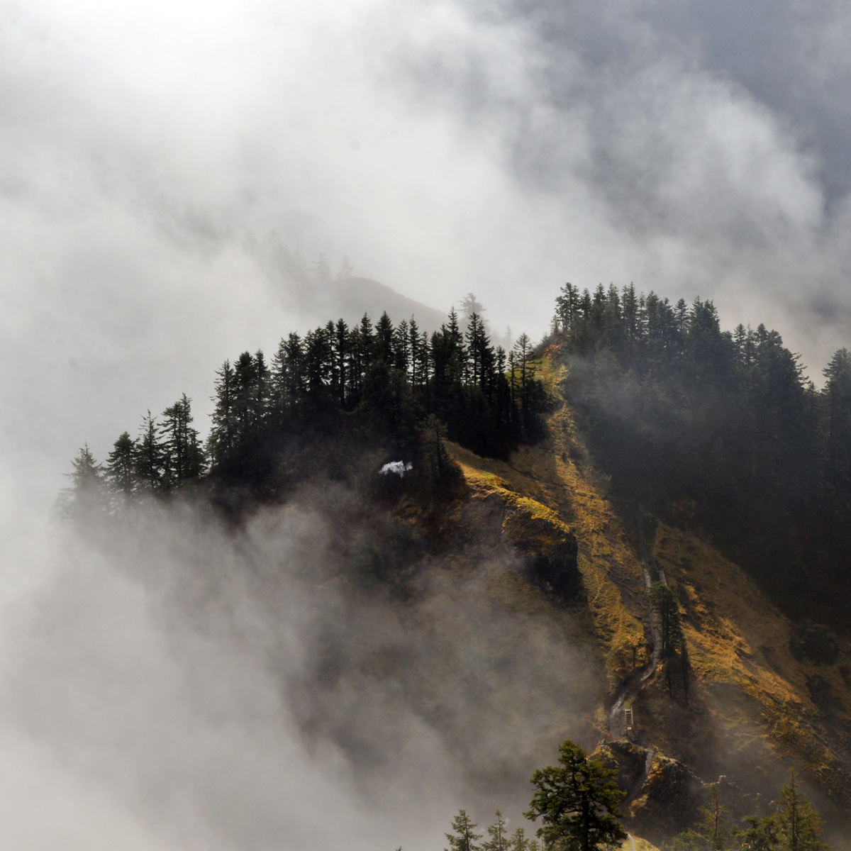 Saddle Mountain, Oregon