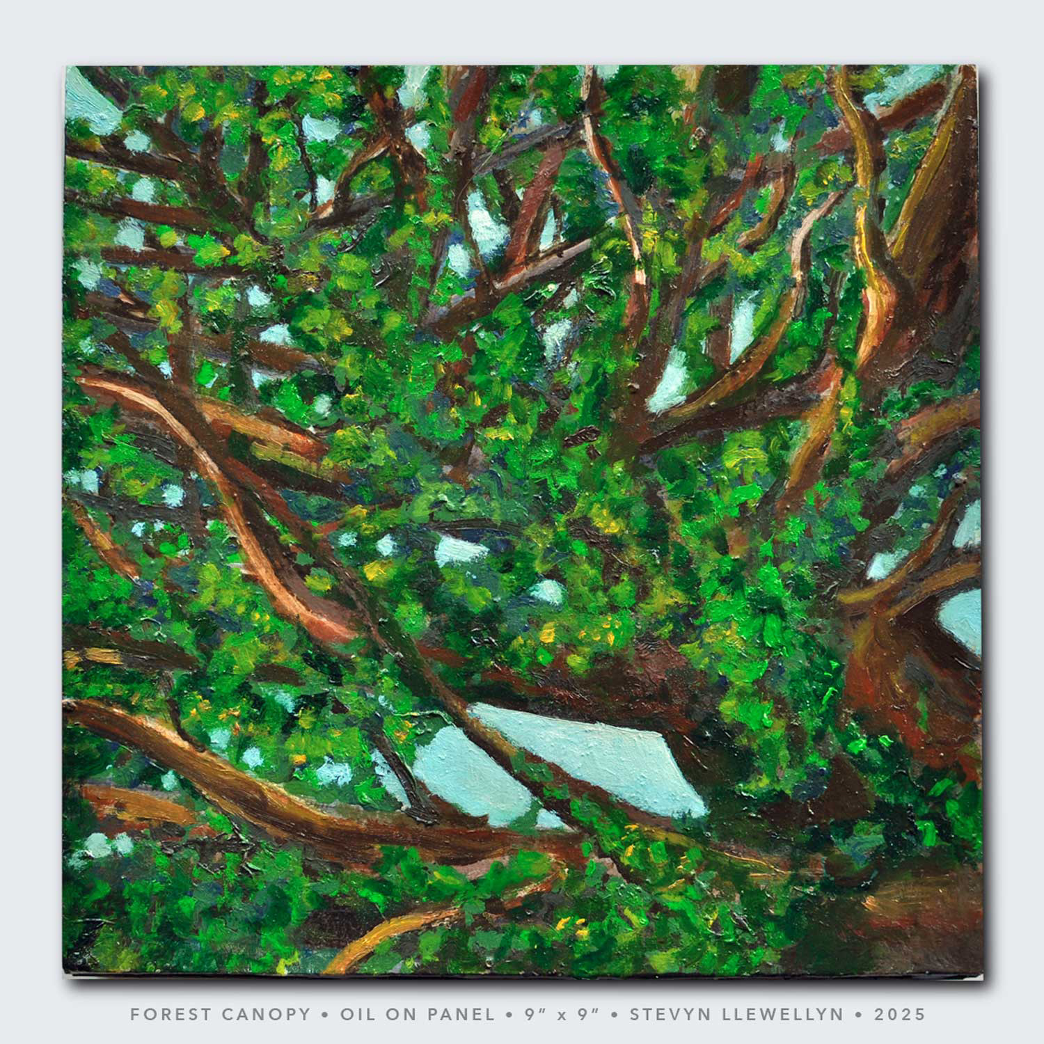 Forest Study • Oil on panel