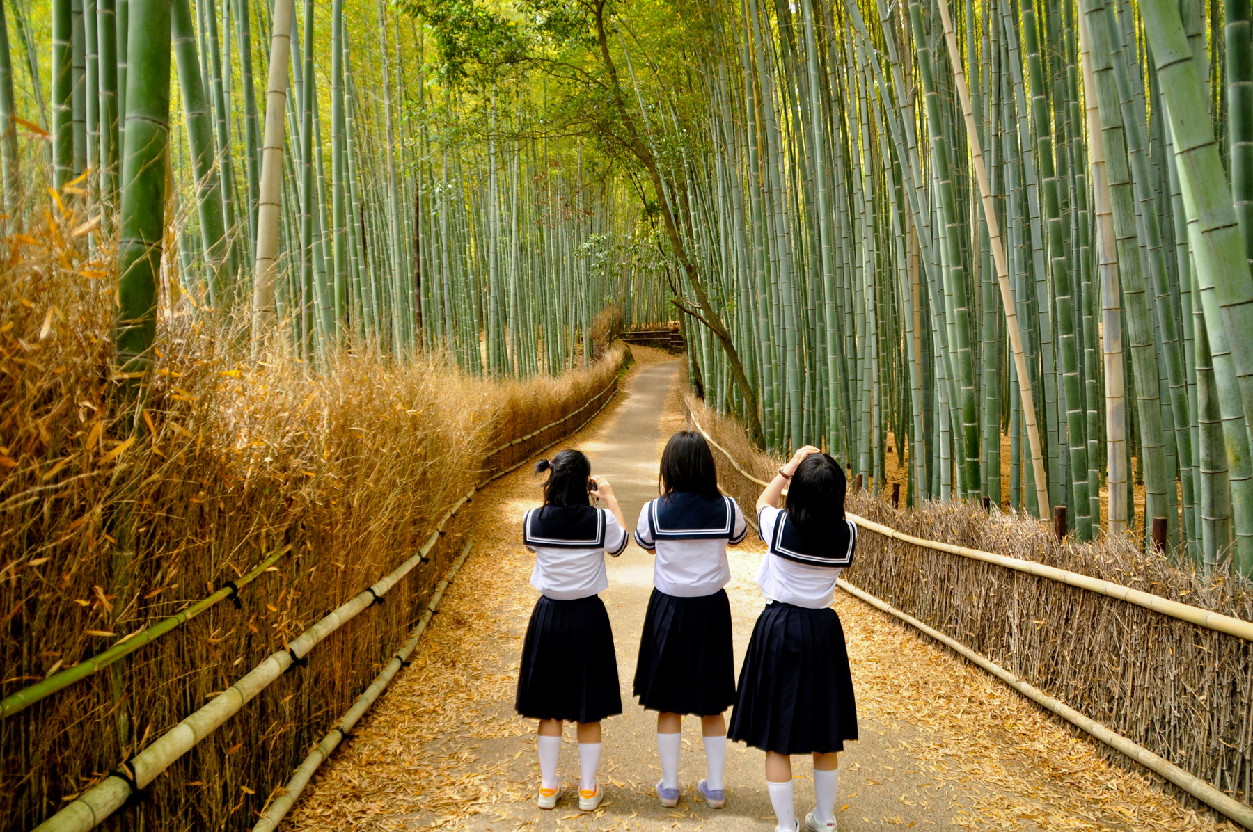 Arashiyama, Japan