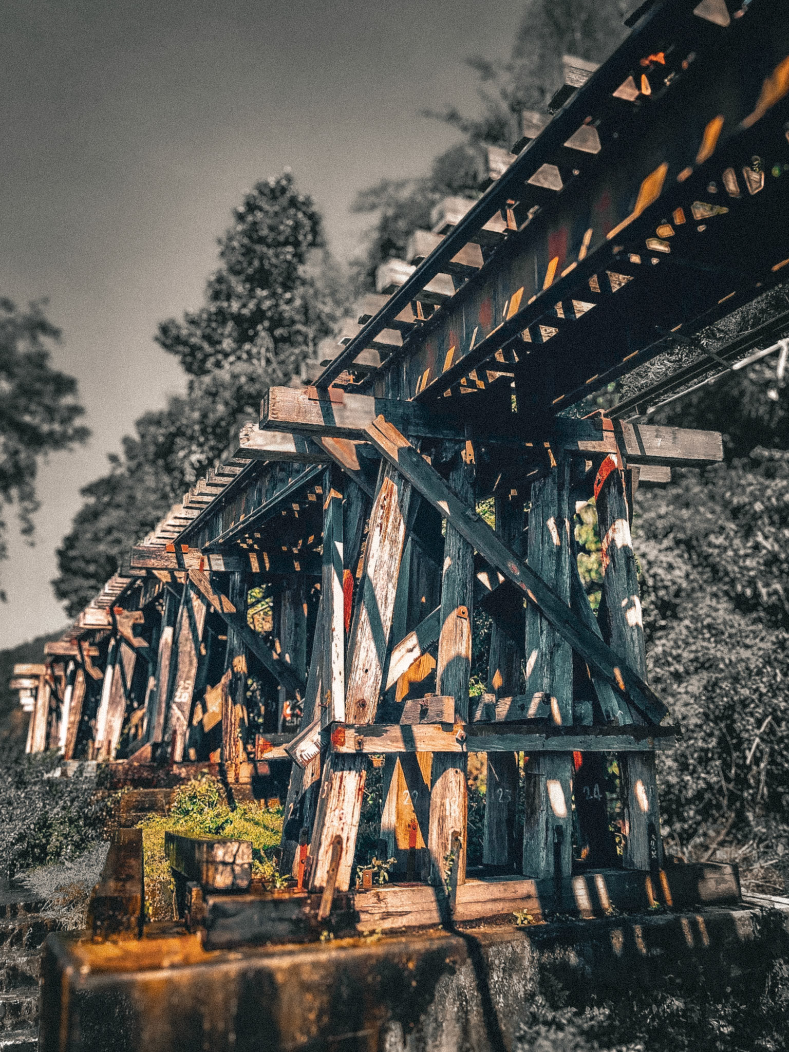 Rail Bridge