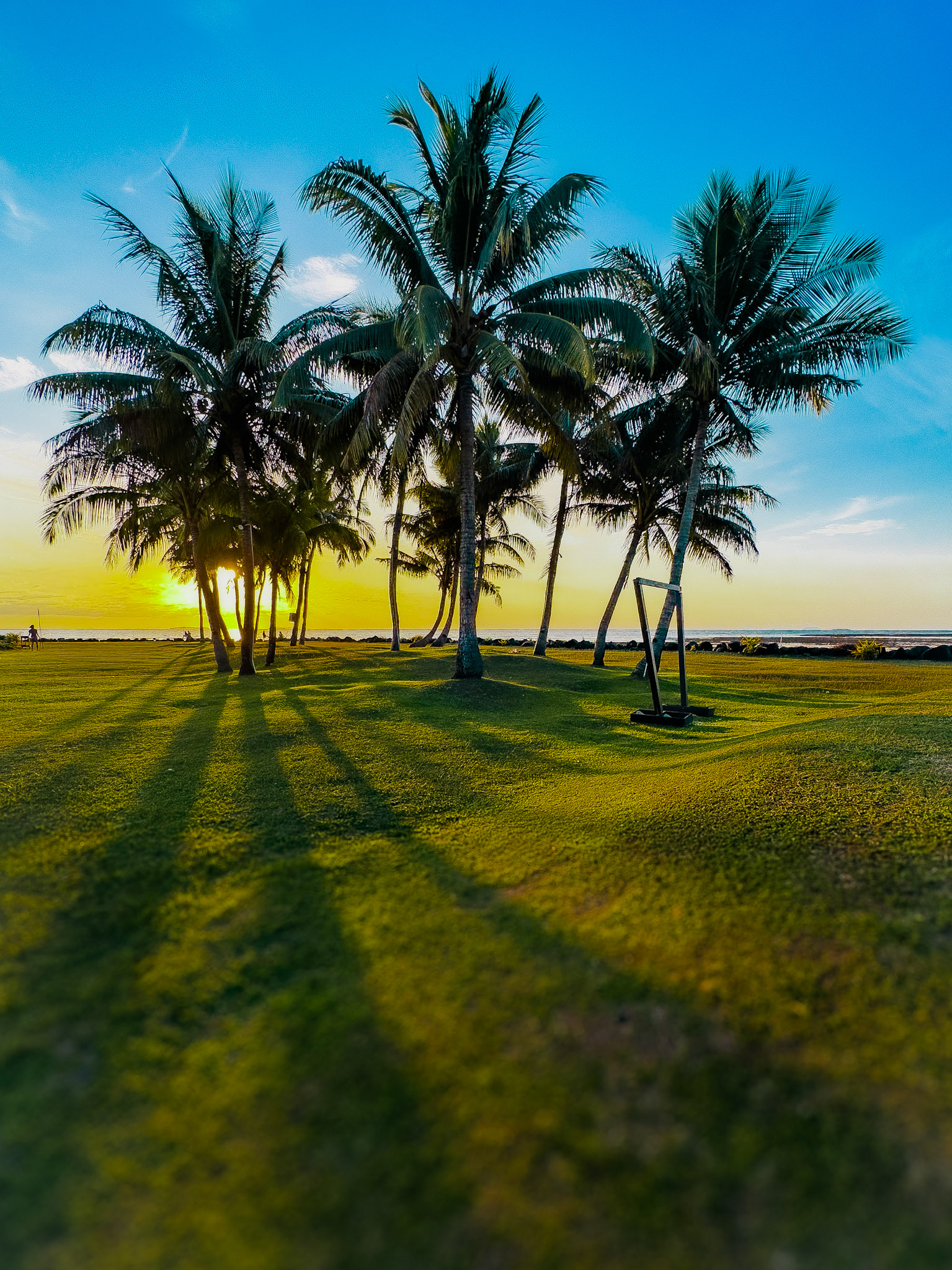Shadows in the Sunset
