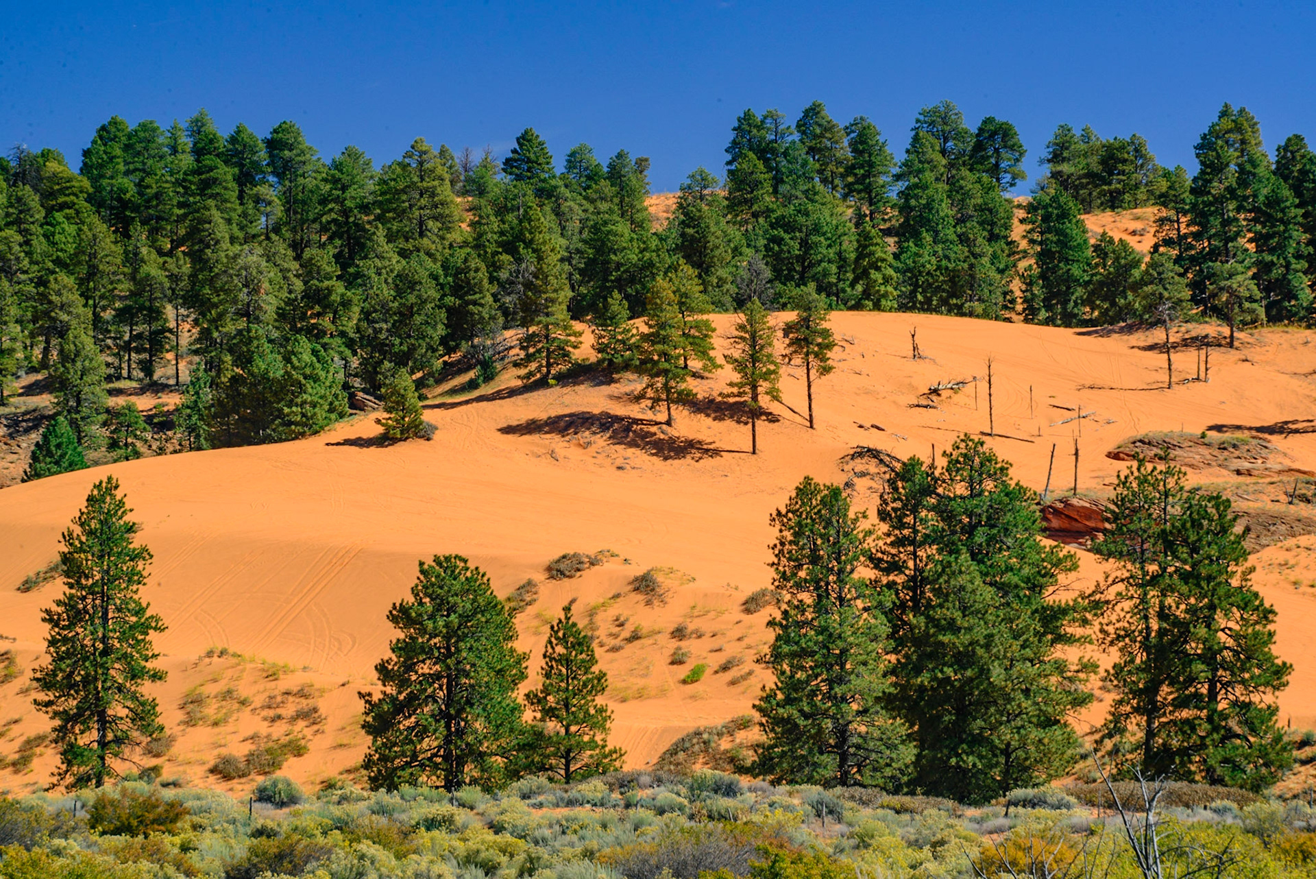 DTGD22359 Coral Sands State Park